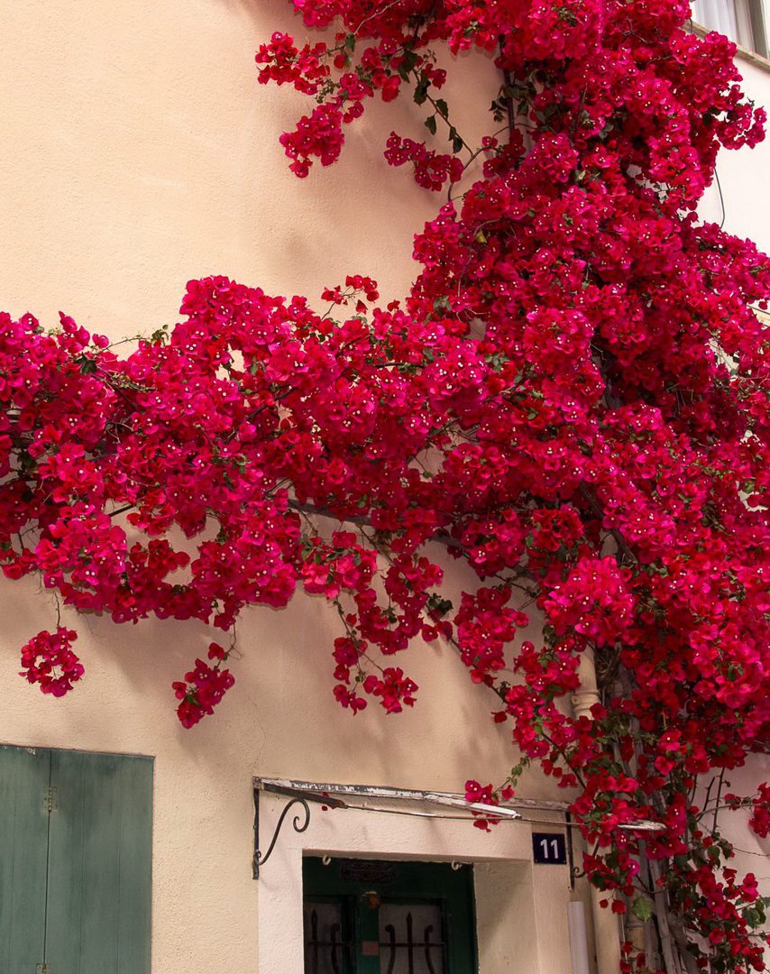 2018 05 Provence Saint Tropez 020 854px