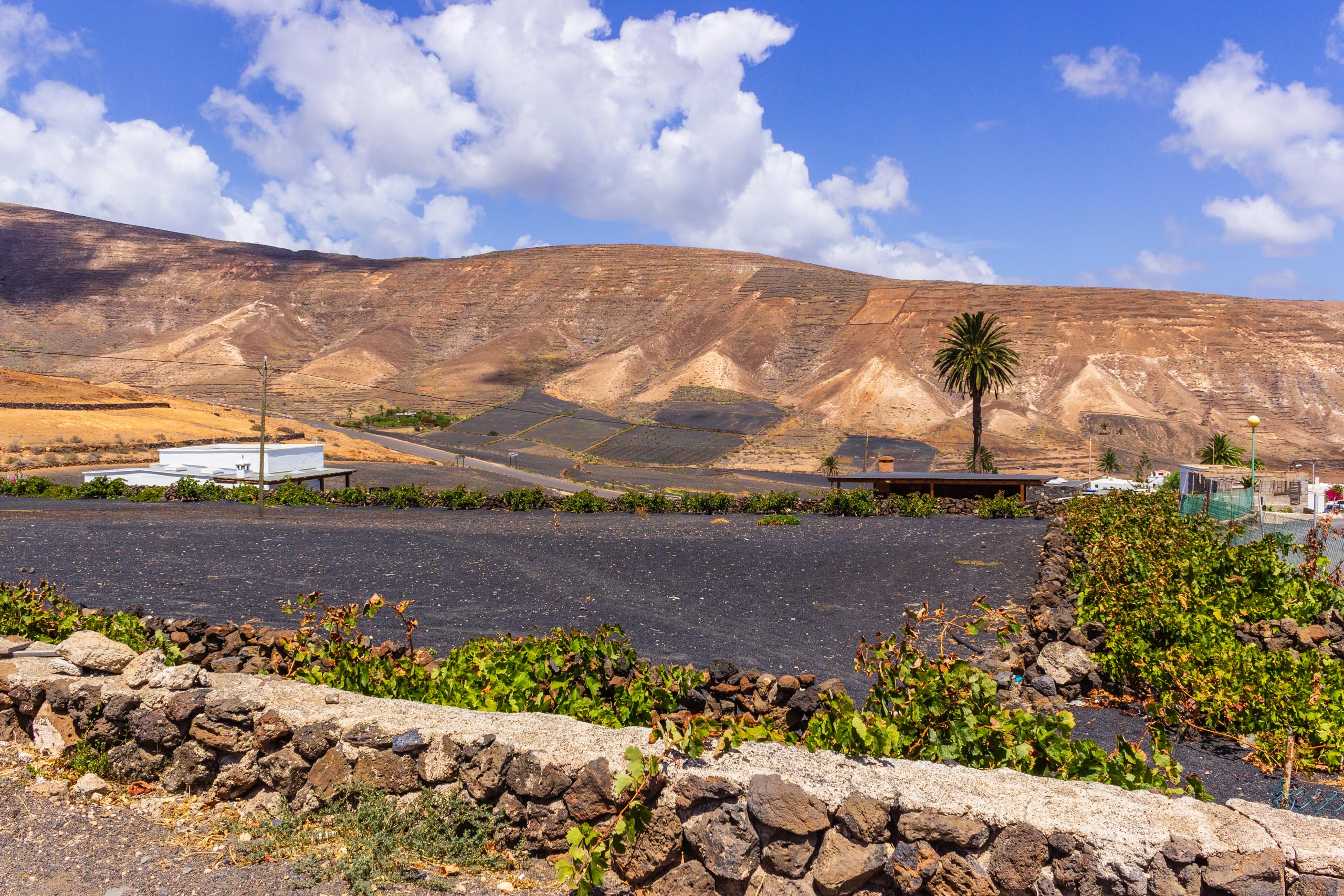 2018 08 Lanzarote AboveTabayesco 008