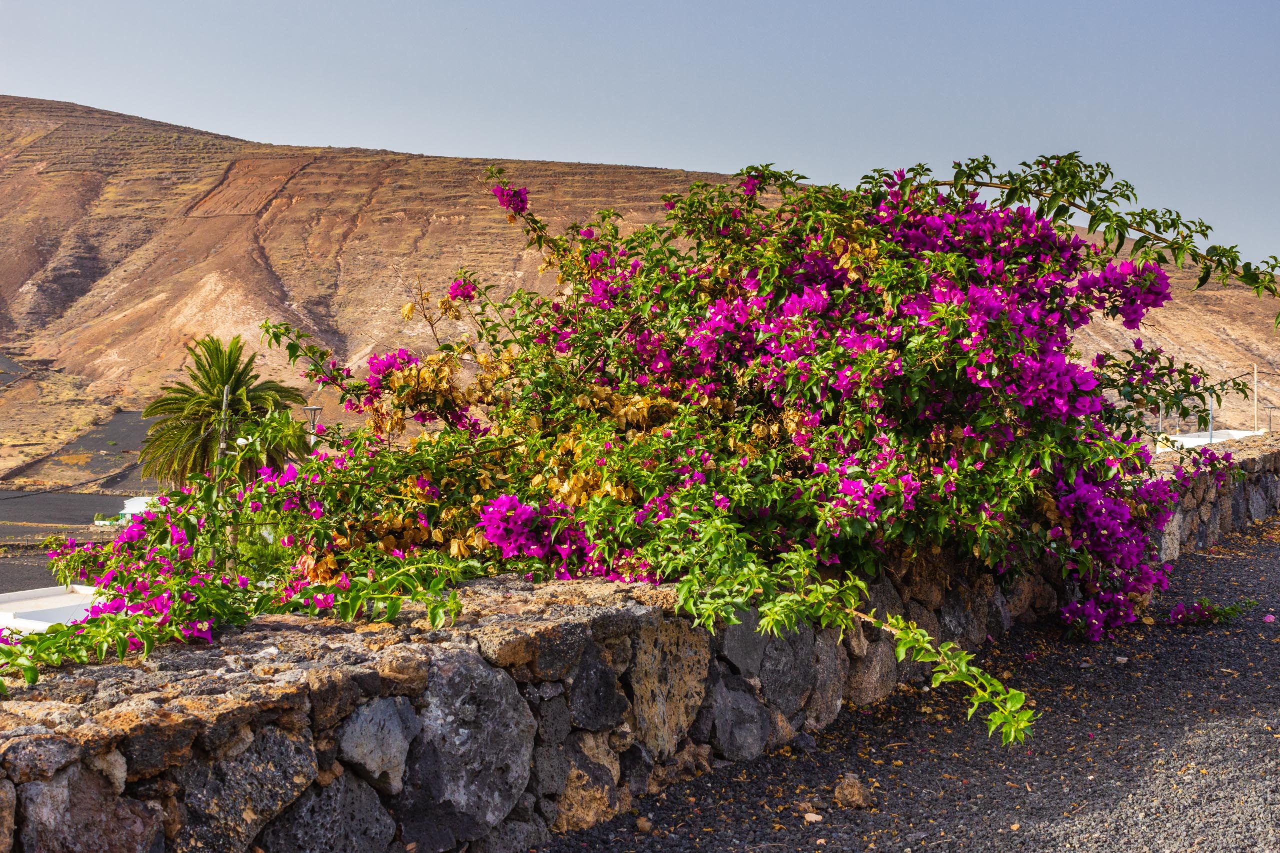 2018 08 Lanzarote CasaMariposa 010