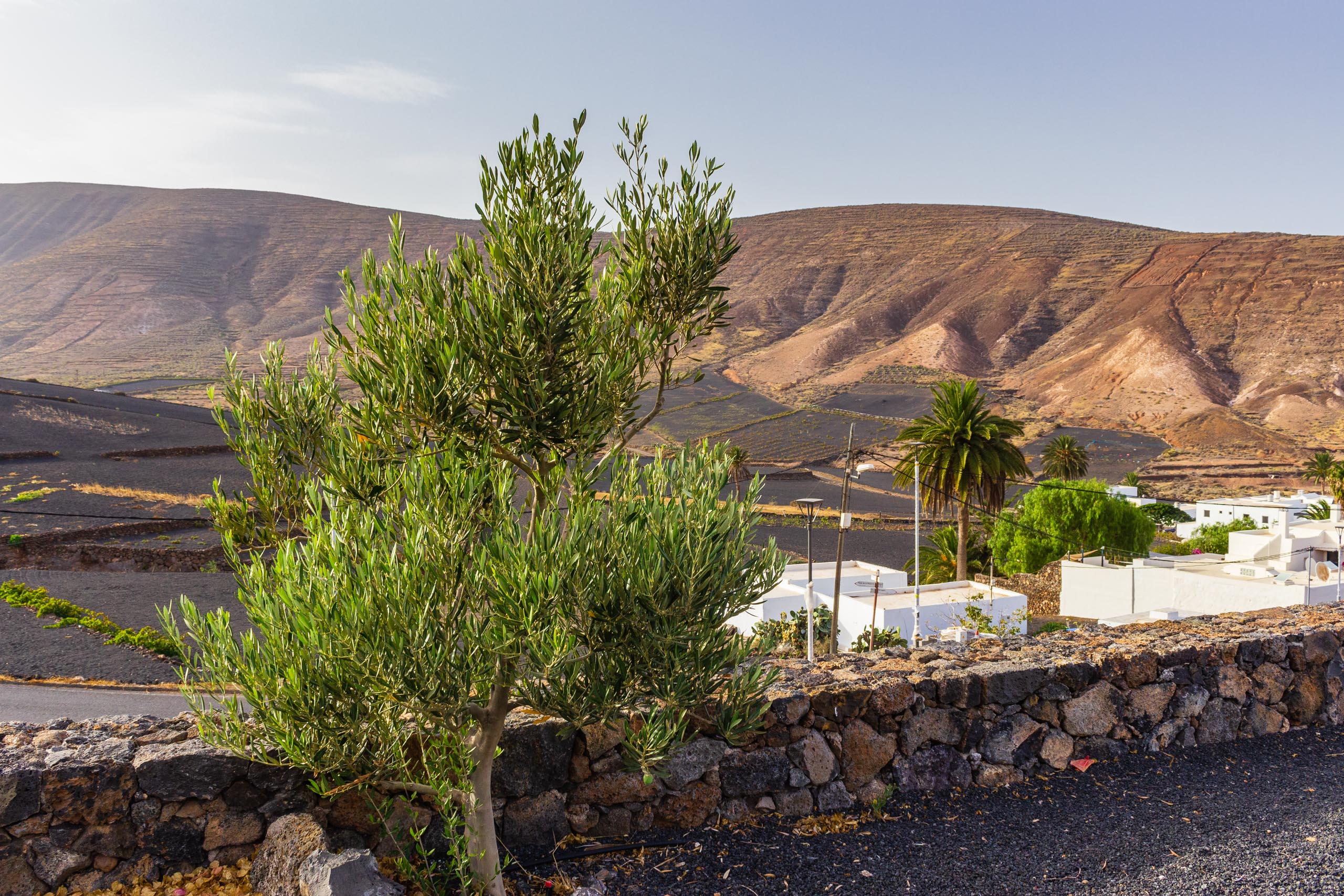 2018 08 Lanzarote CasaMariposa 011