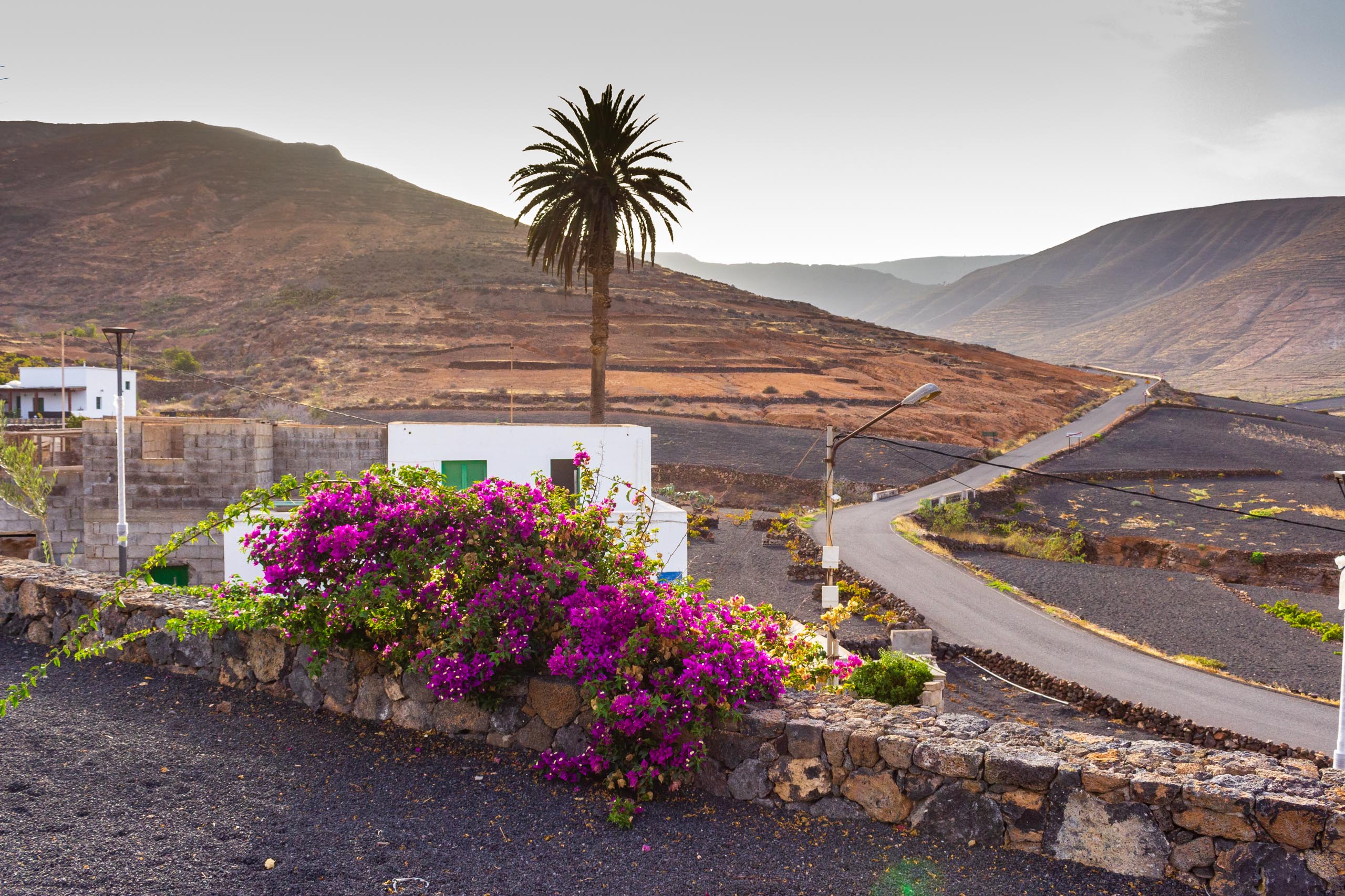 2018 08 Lanzarote CasaMariposa 012