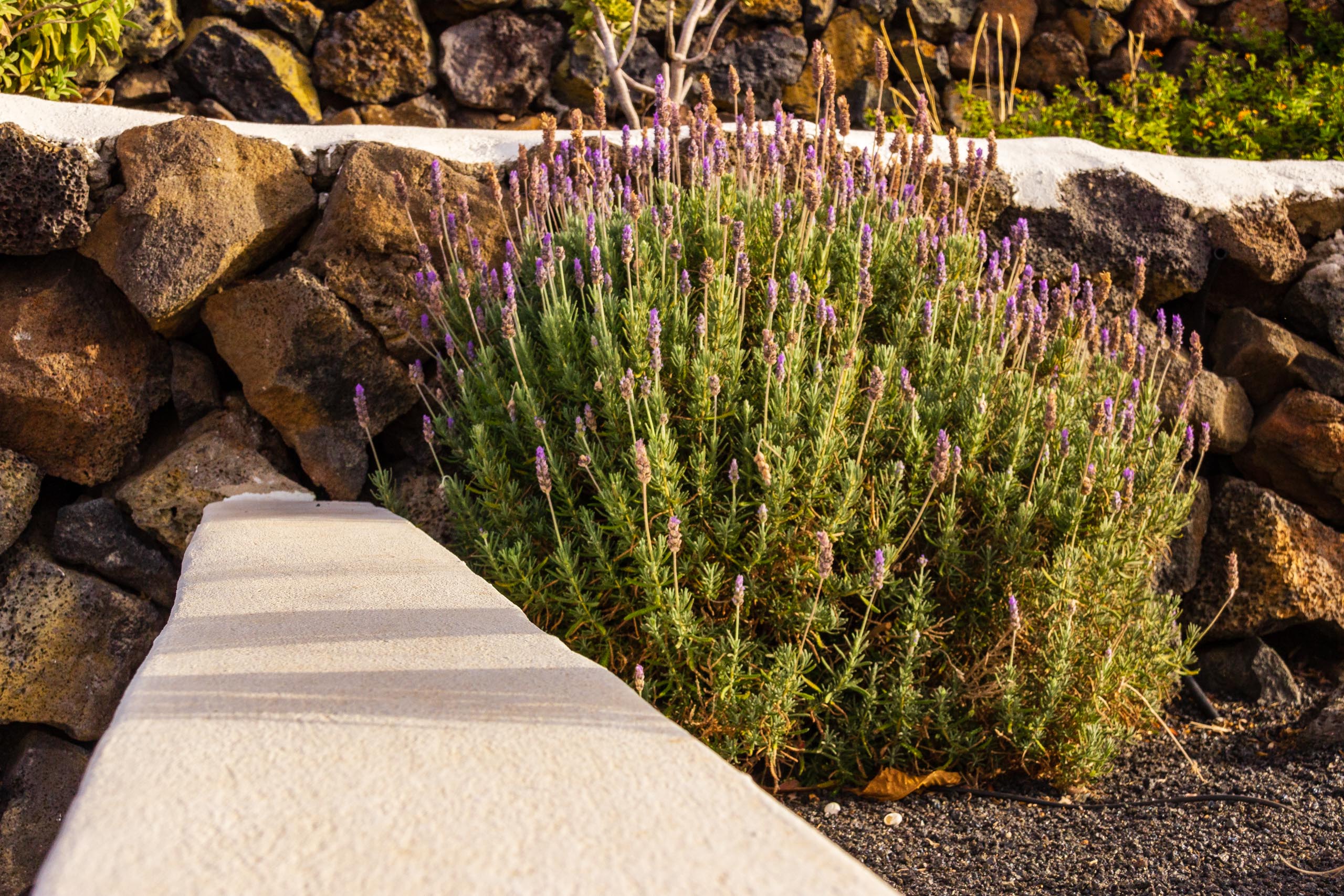 2018 08 Lanzarote CasaMariposa 017