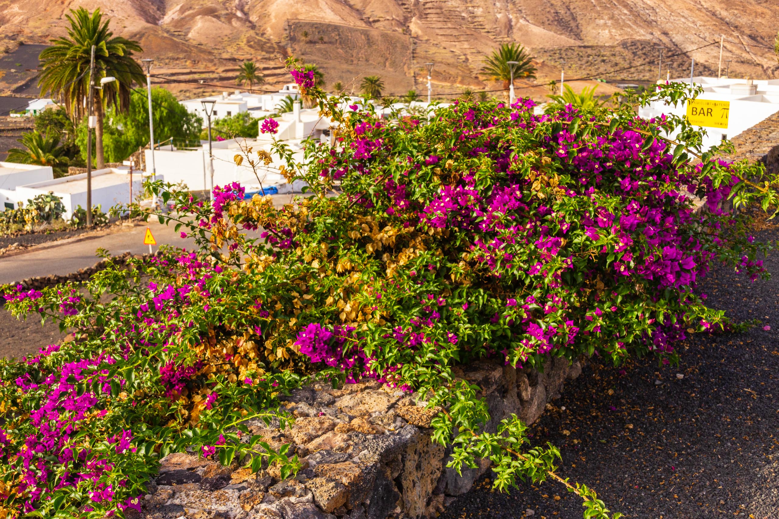 2018 08 Lanzarote CasaMariposa 024