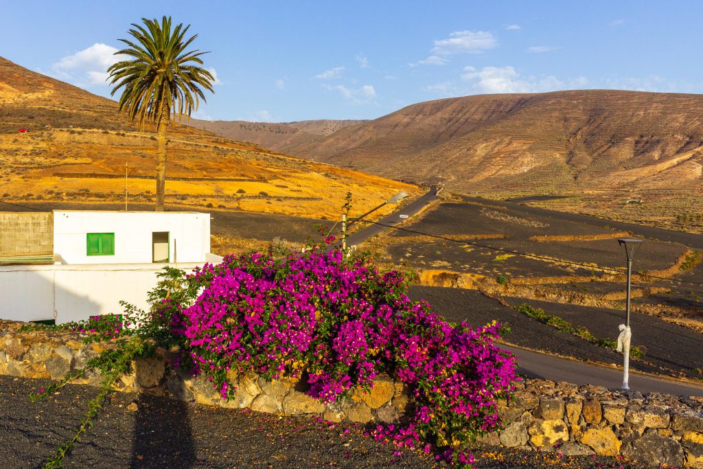 2018 08 Lanzarote TabayescoInTheMorning 001