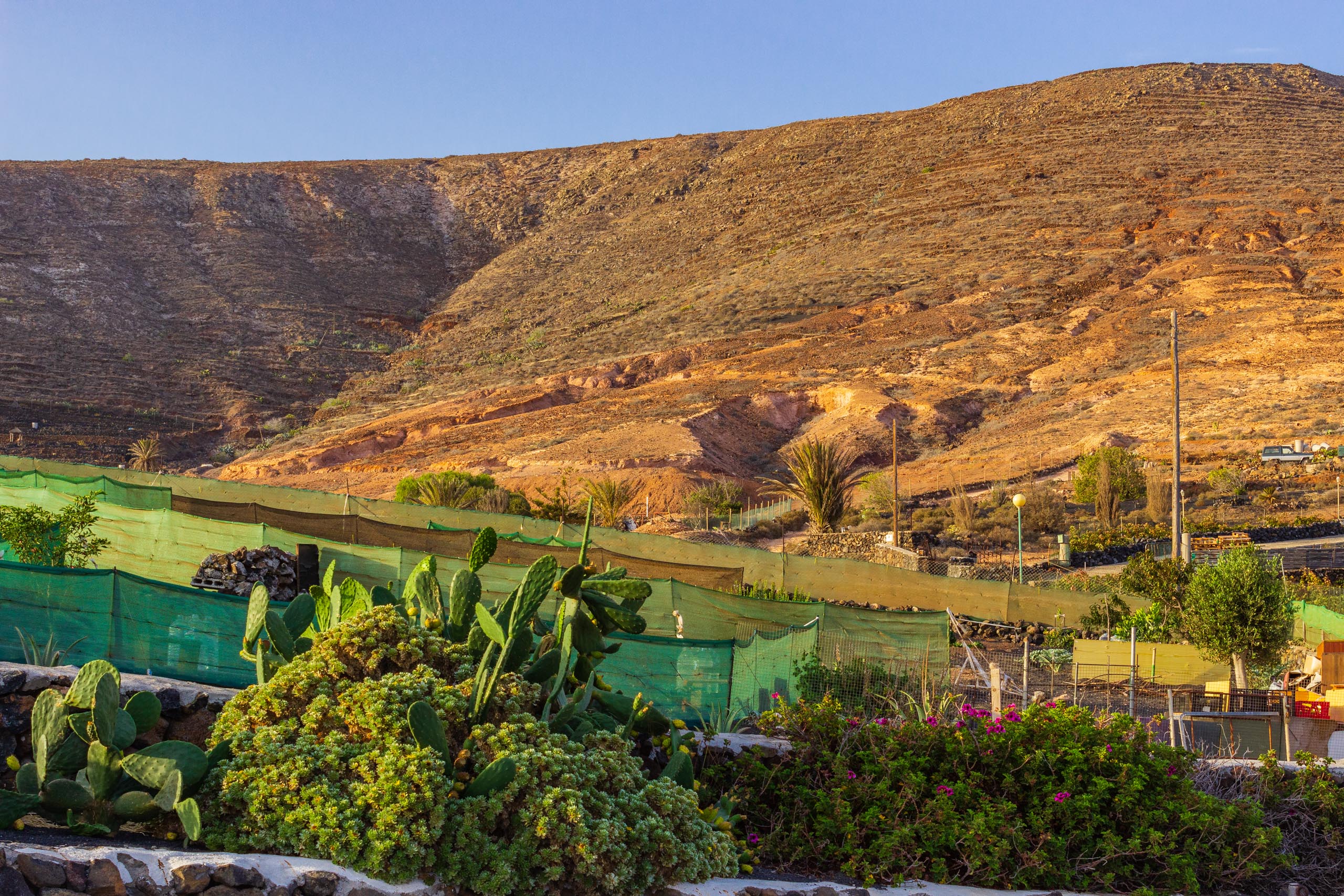 2018 08 Lanzarote TabayescoInTheMorning 006