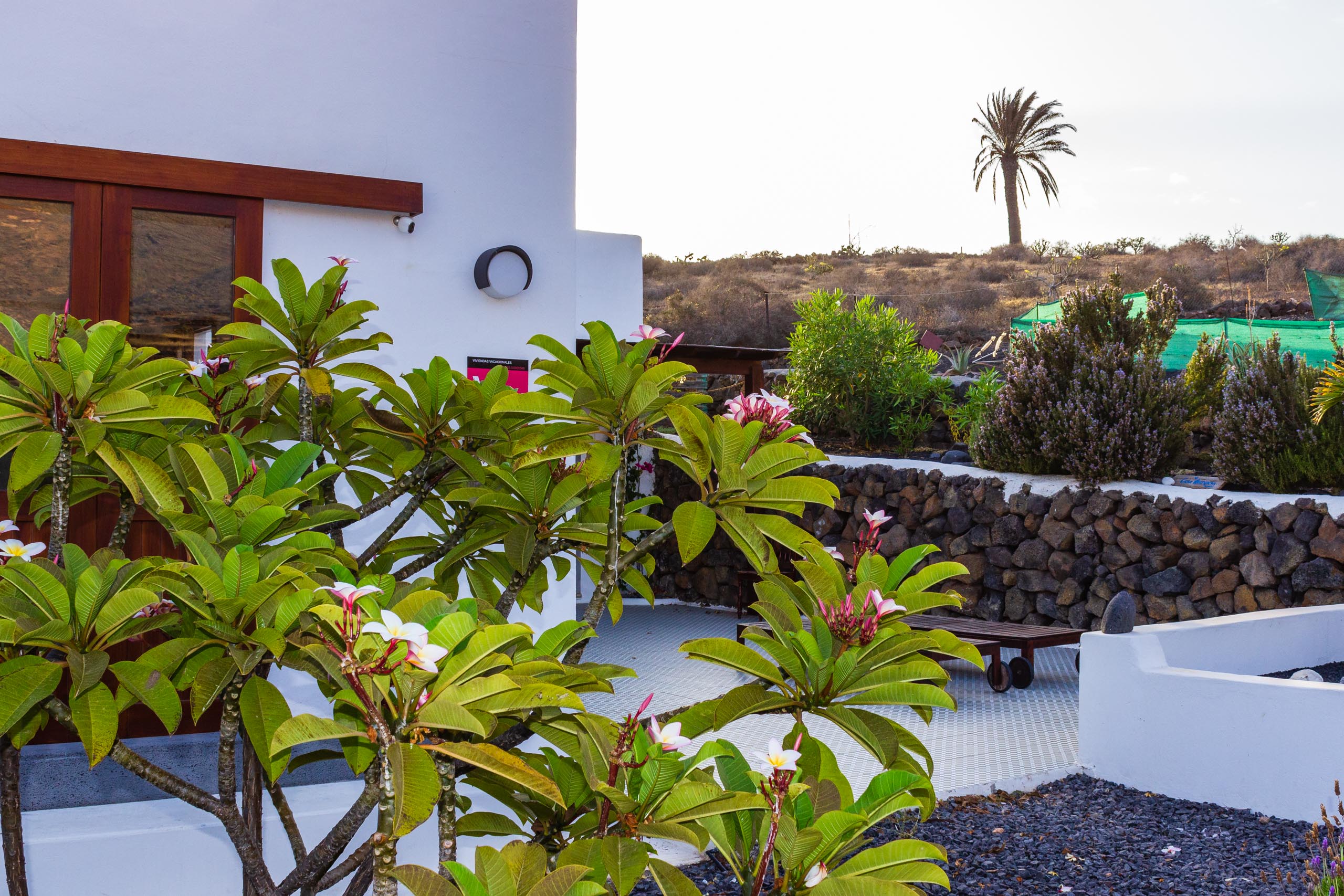 2018 08 Lanzarote TabayescoInTheMorning 007
