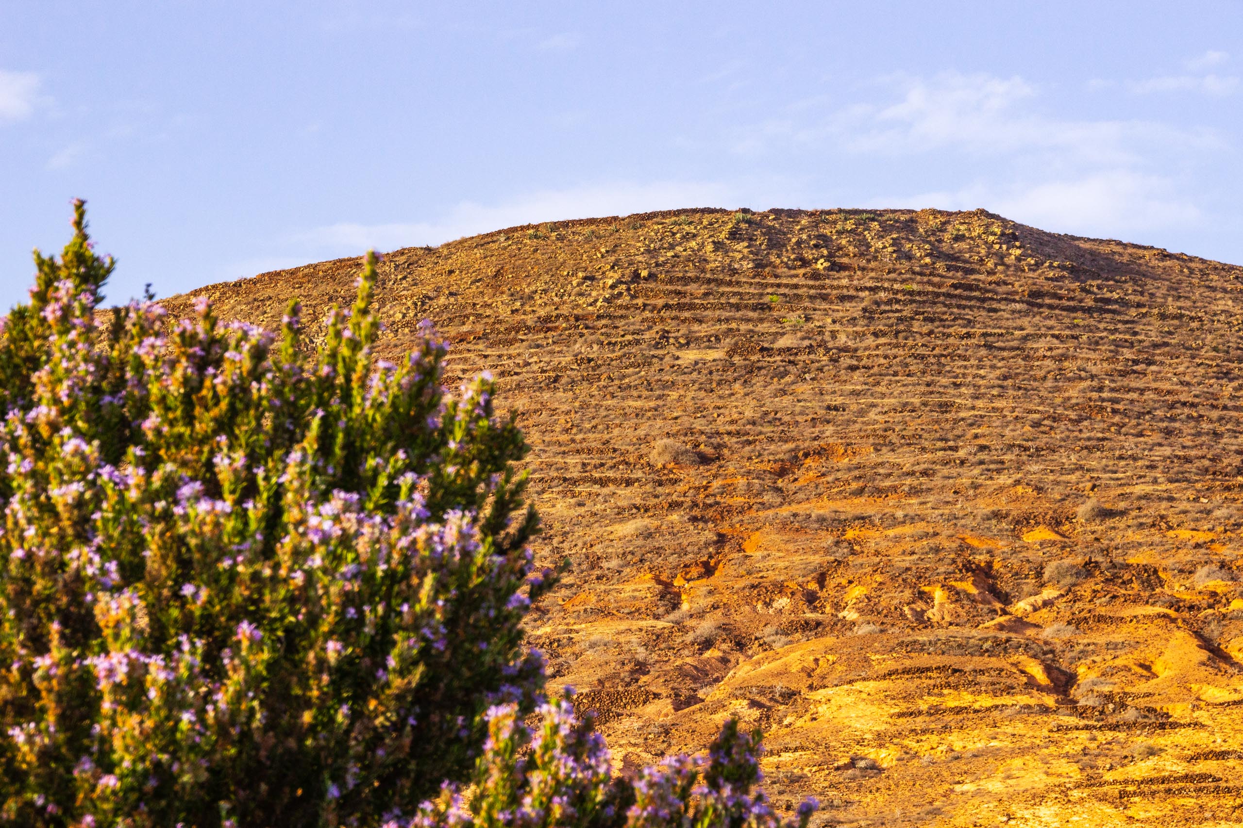 2018 08 Lanzarote TabayescoInTheMorning 010