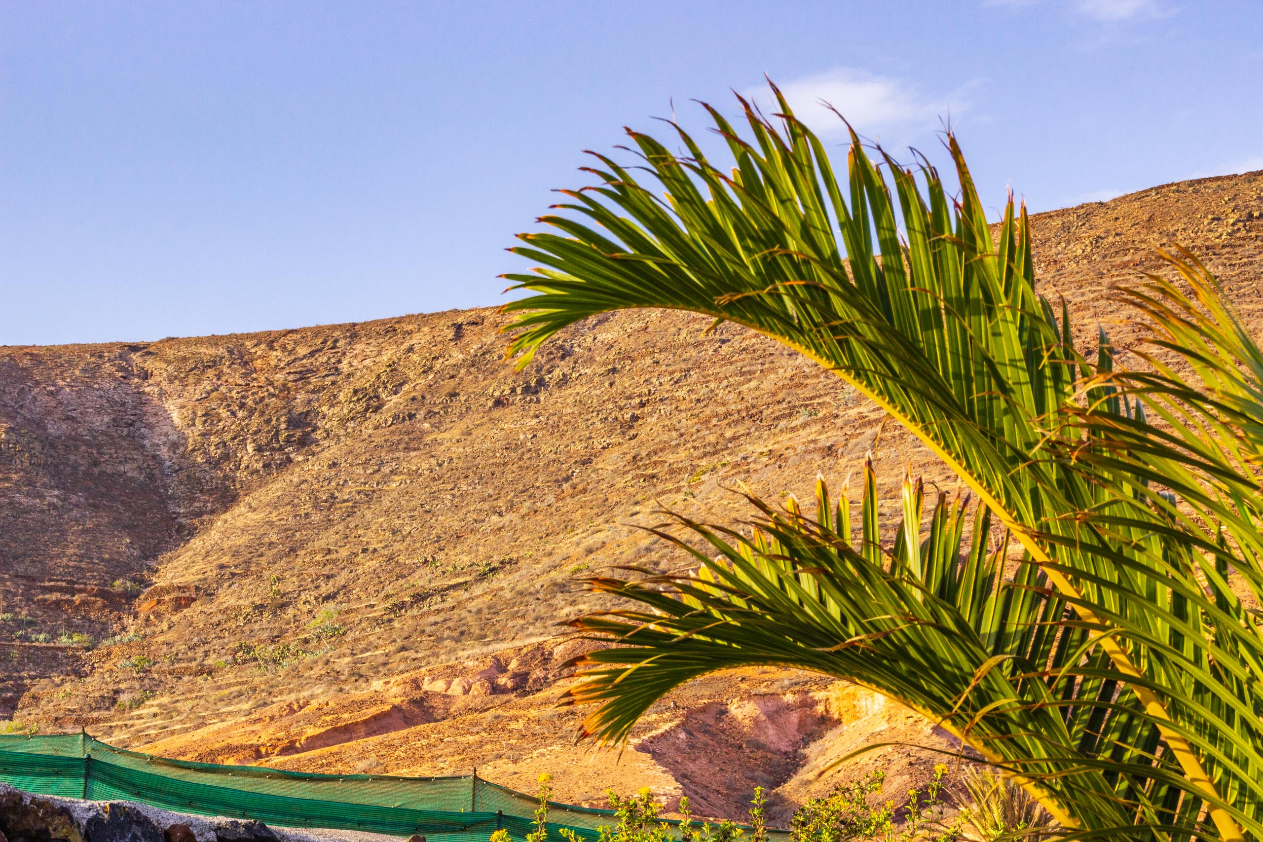2018 08 Lanzarote TabayescoInTheMorning 015