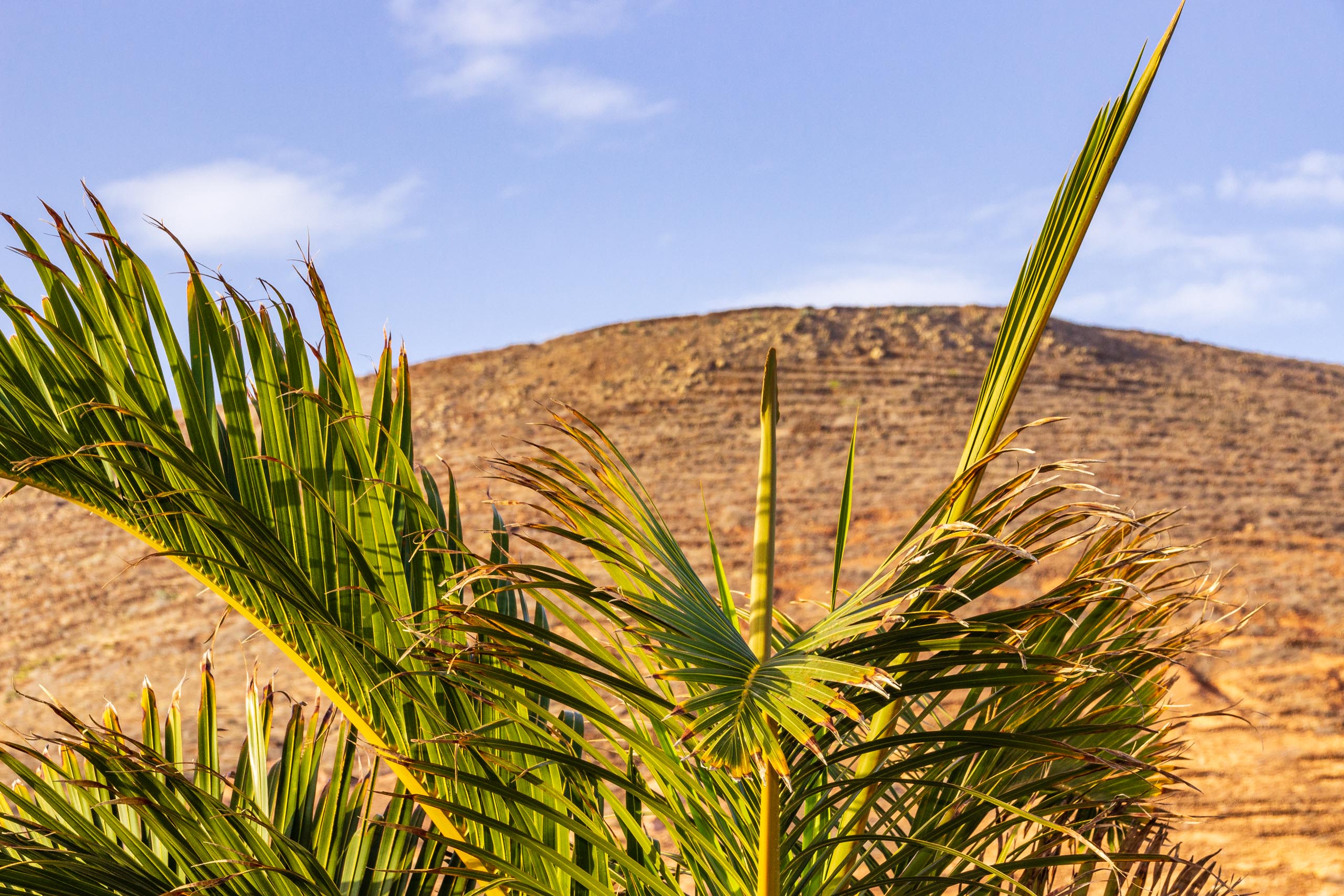 2018 08 Lanzarote TabayescoInTheMorning 018