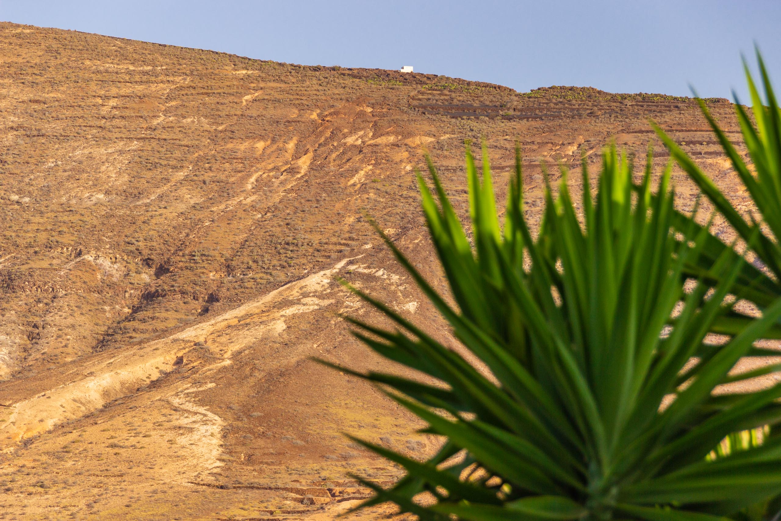 2018 08 Lanzarote TabayescoInTheMorning 021