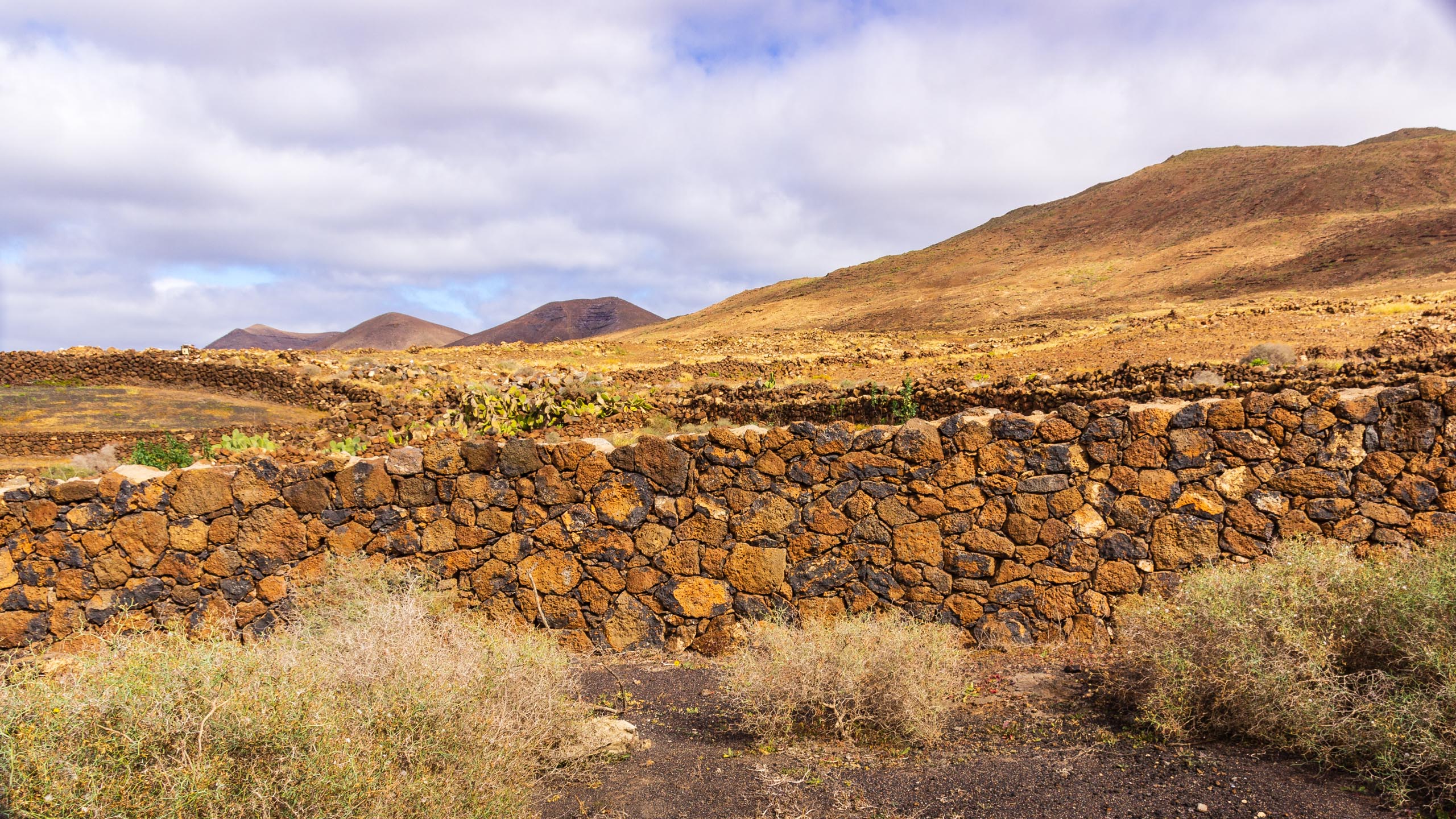 2019 01 LasBrenas Enero 006