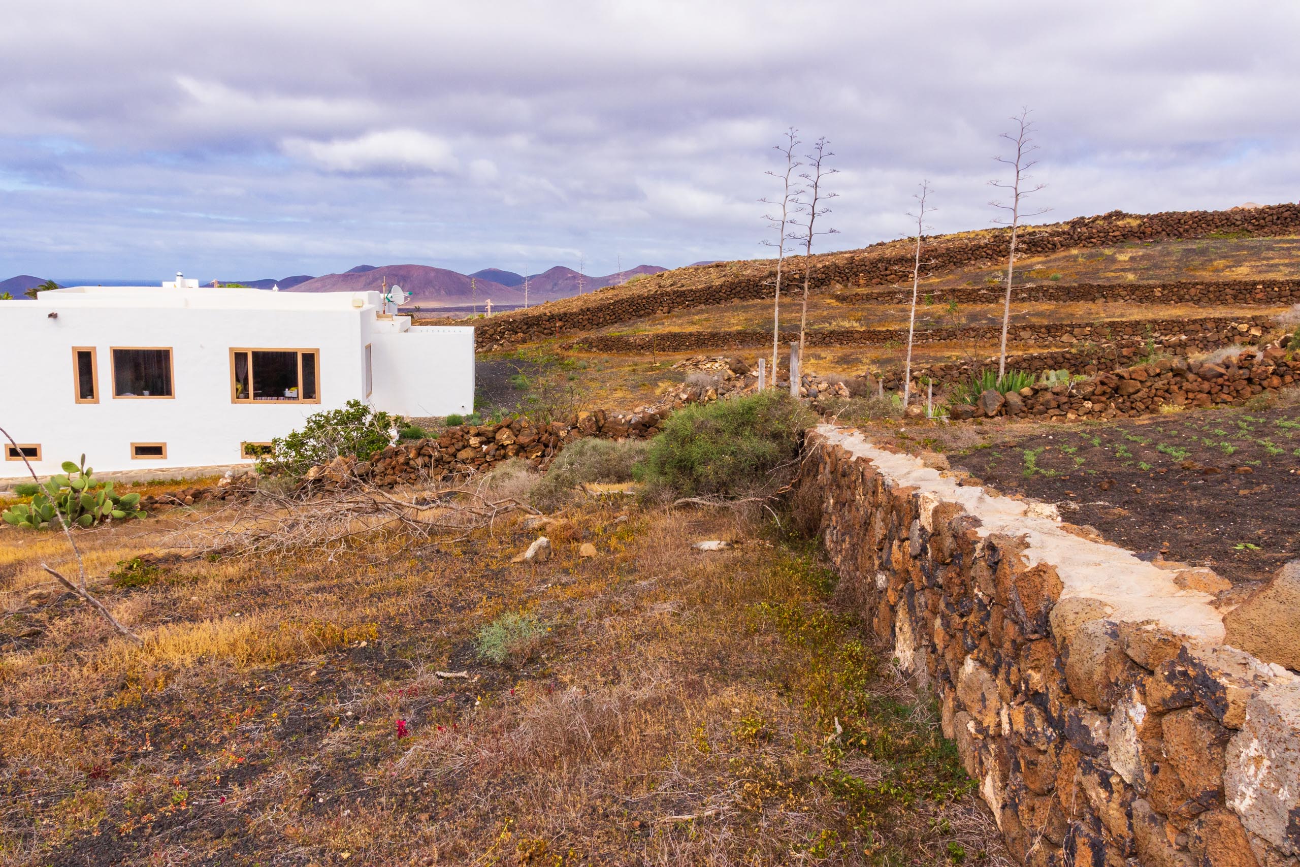 2019 01 LasBrenas enero 010