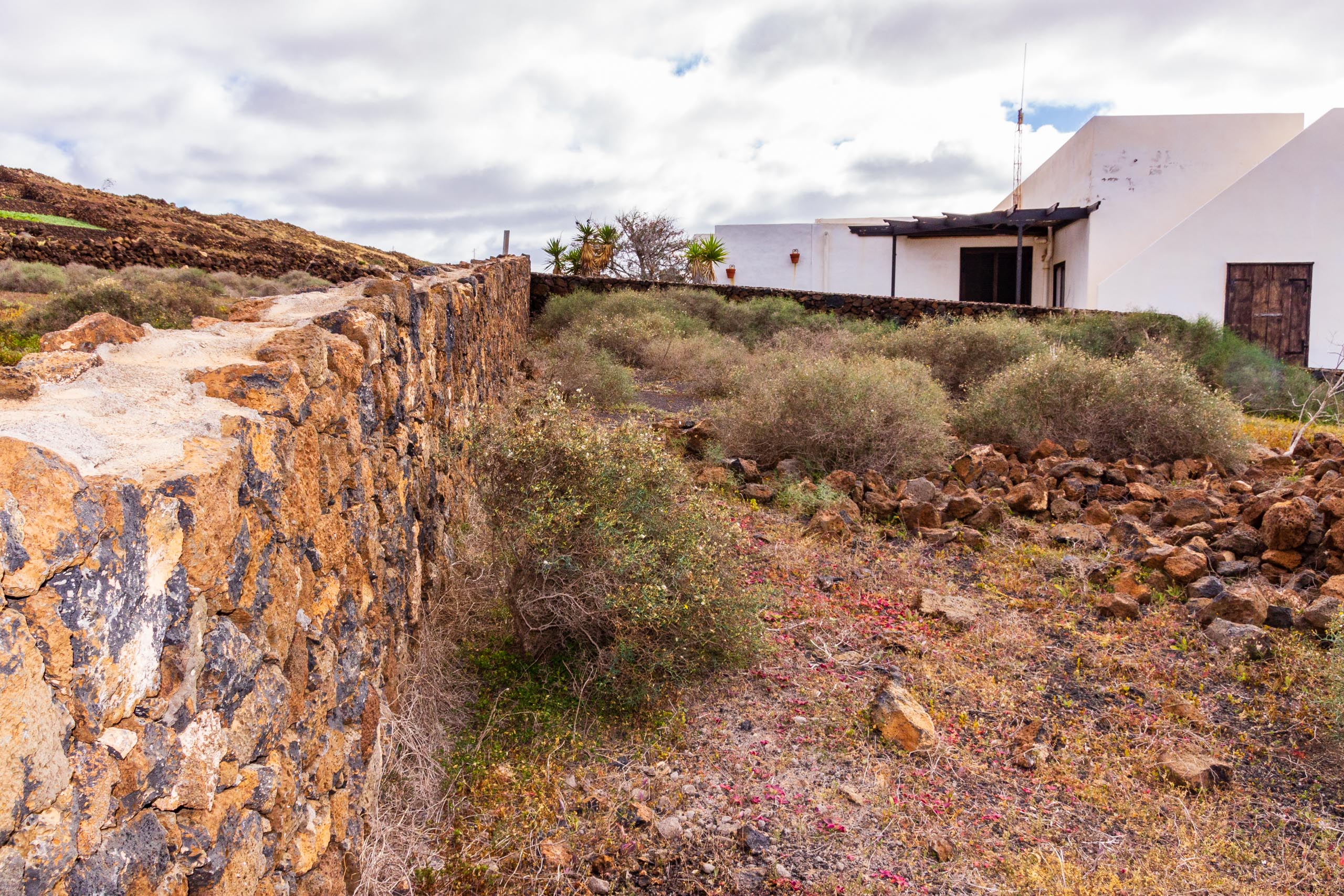 2019 01 LasBrenas enero 011