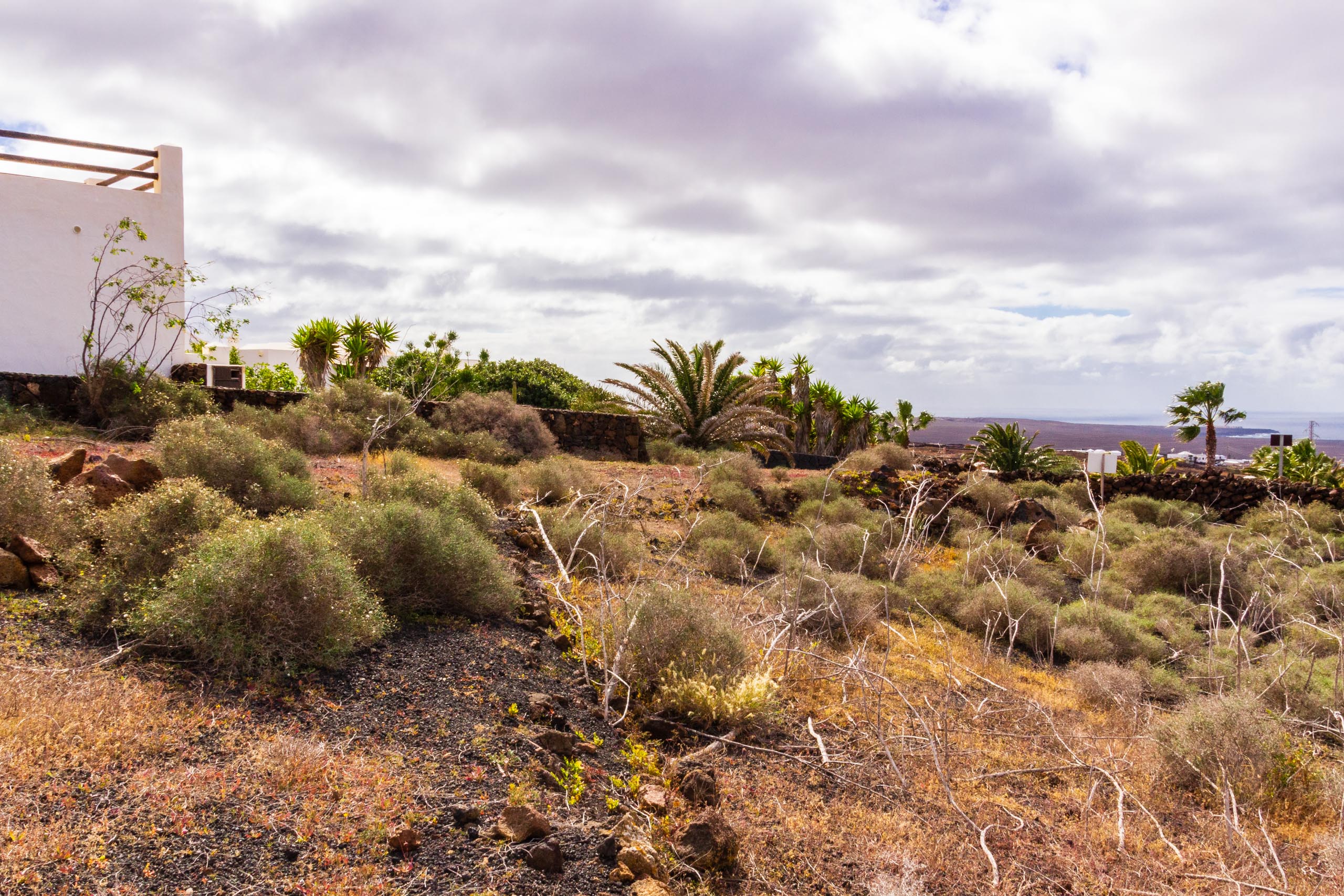 2019 01 LasBrenas enero 012