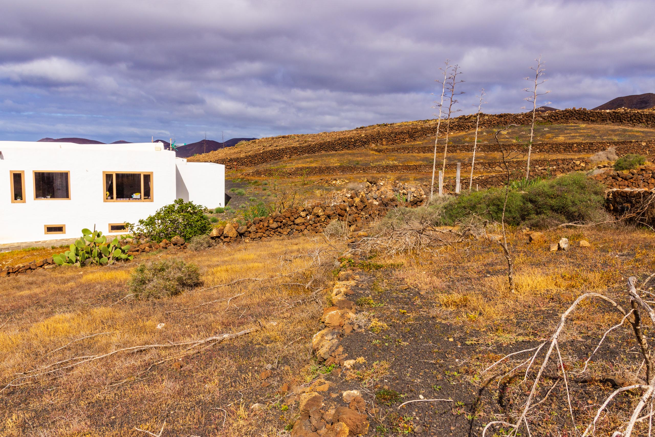 2019 01 LasBrenas enero 013