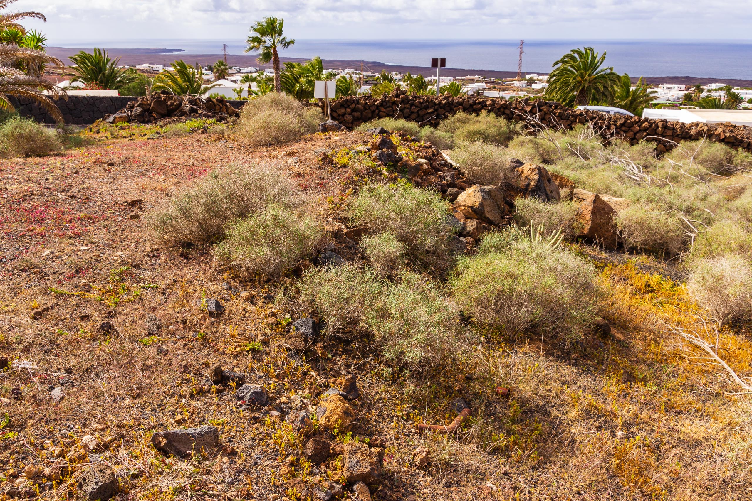 2019 01 LasBrenas enero 014