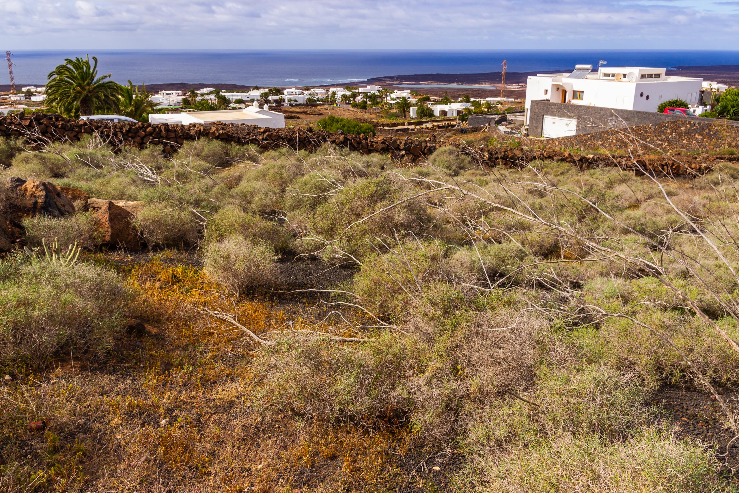 2019 01 LasBrenas enero 015