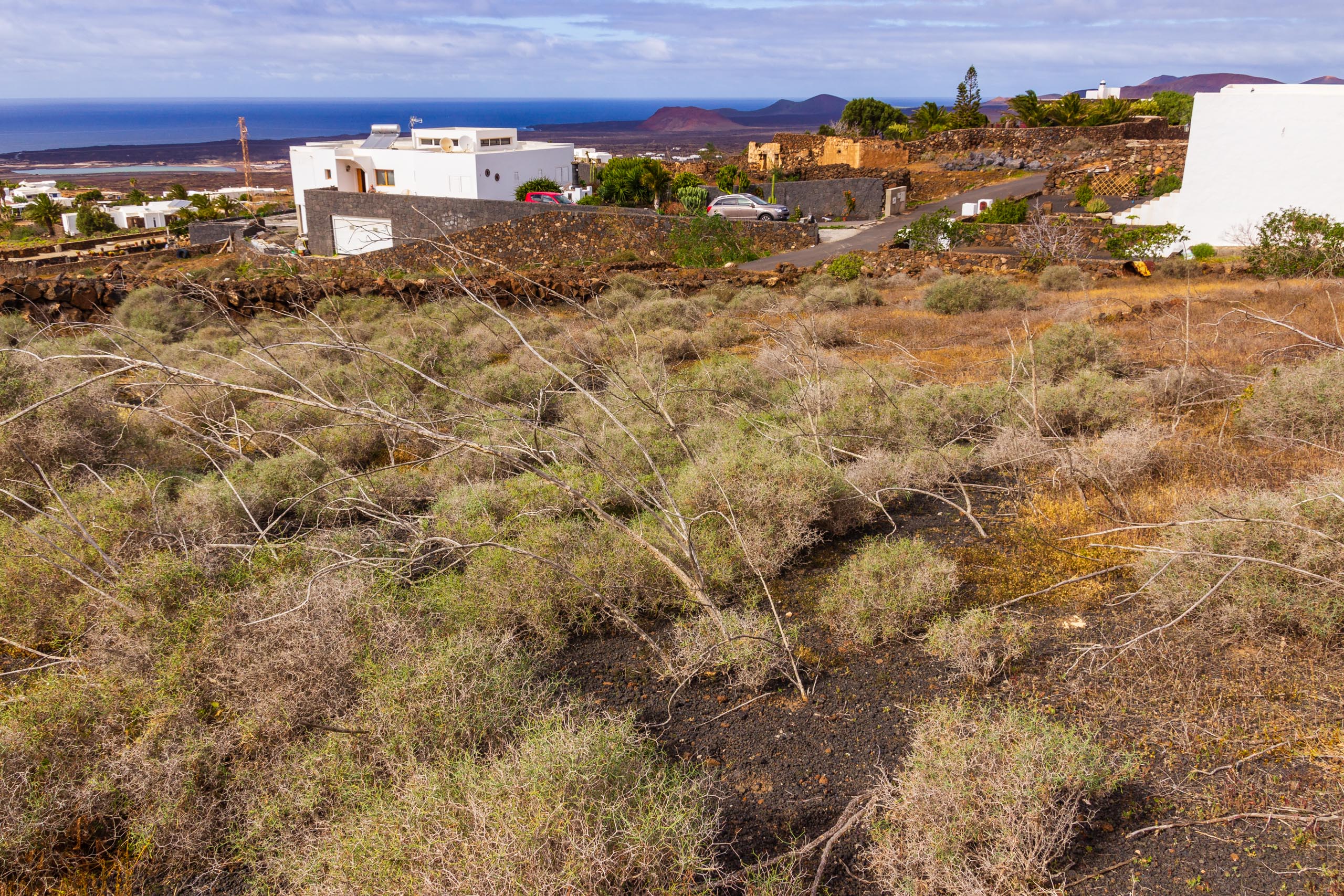 2019 01 LasBrenas enero 016