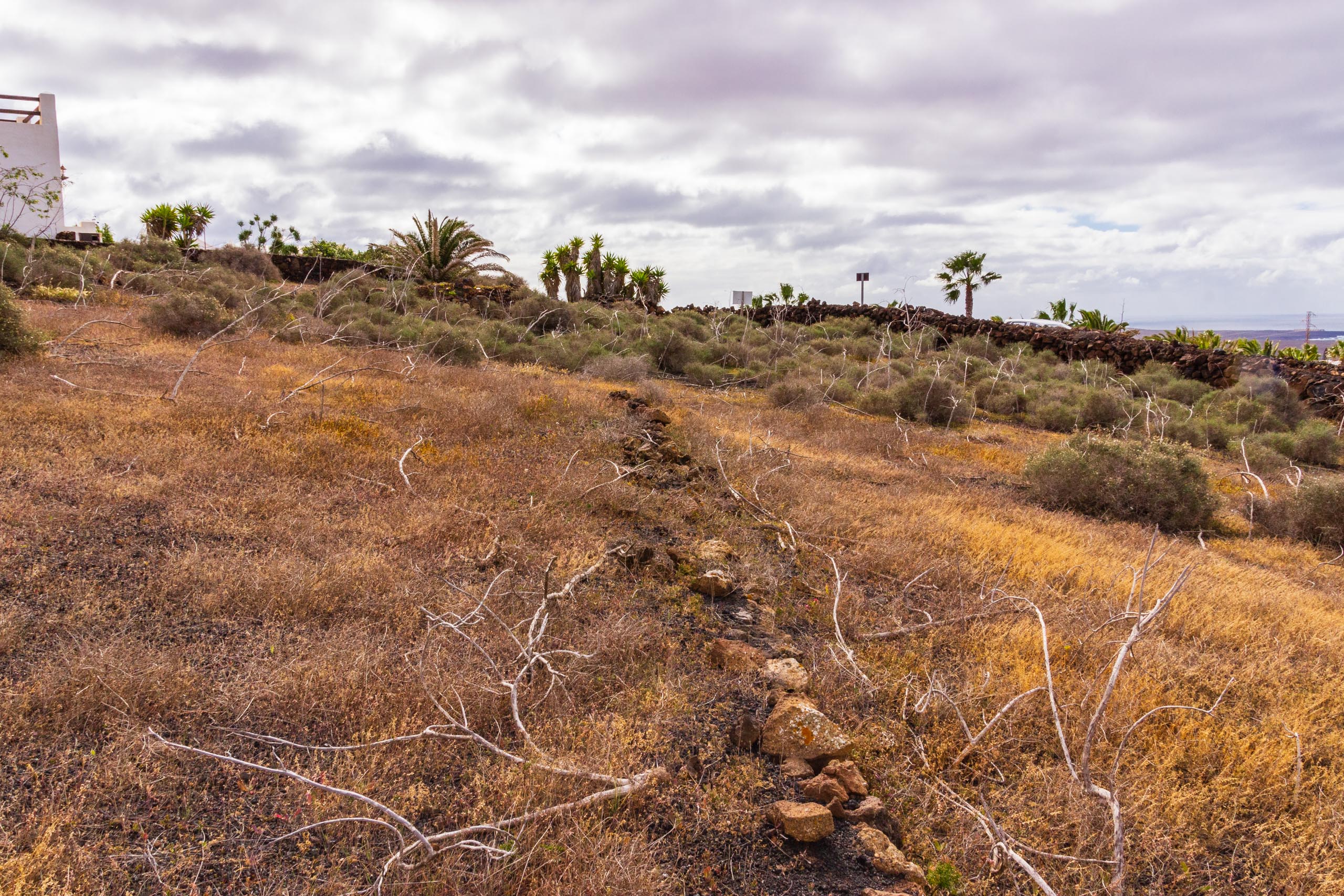 2019 01 LasBrenas enero 017