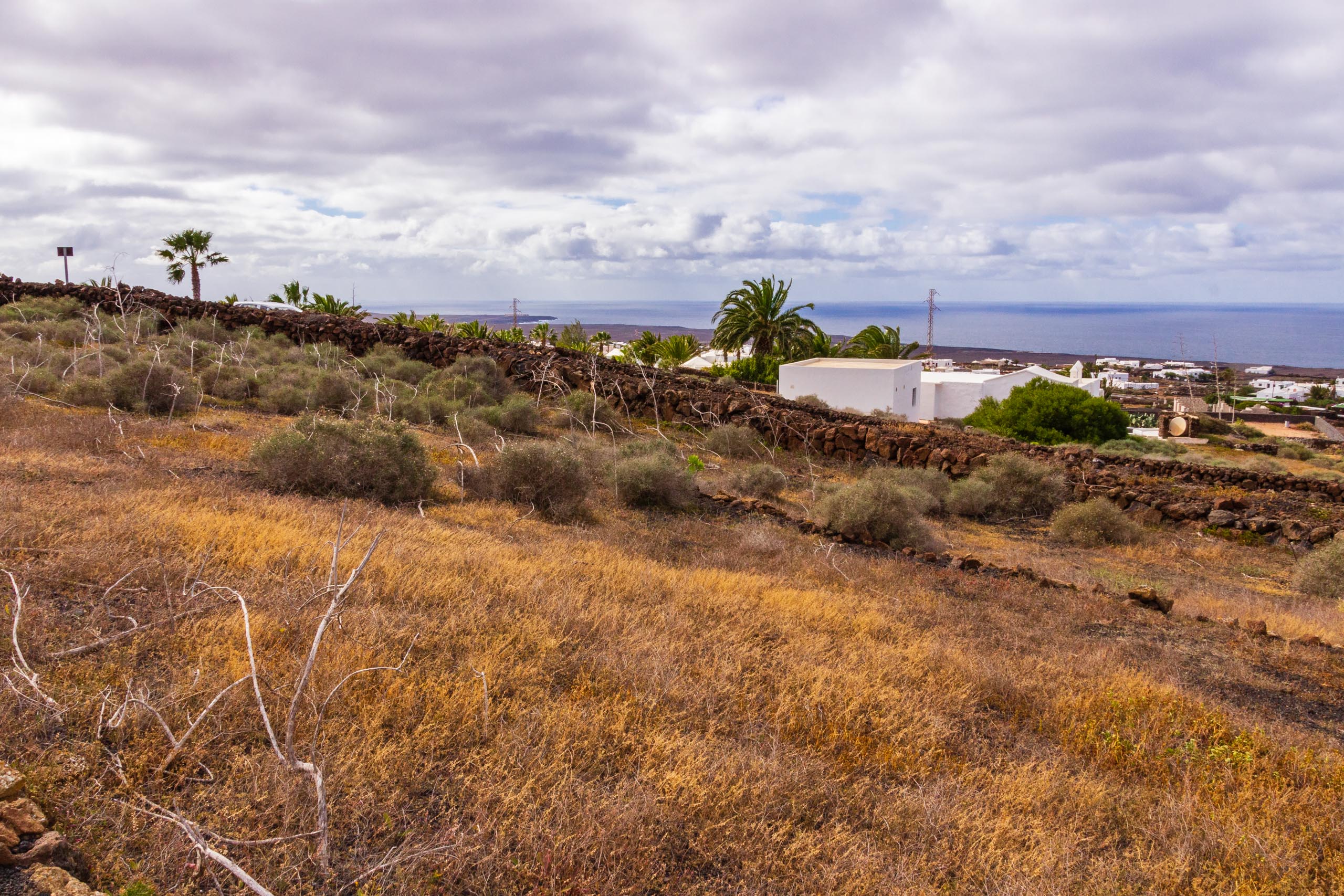 2019 01 LasBrenas enero 018