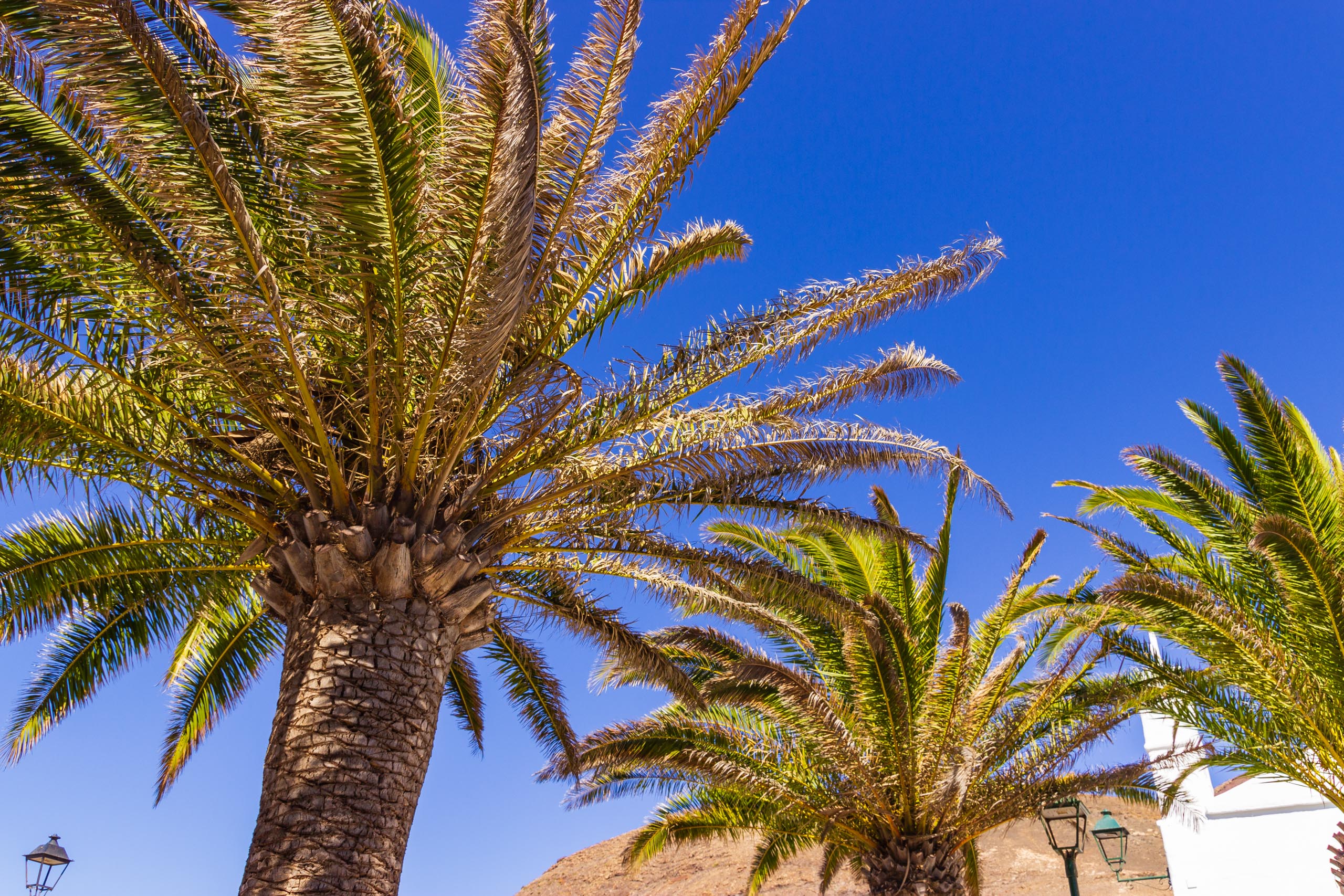 2019 08 Lanzarote Femés 012
