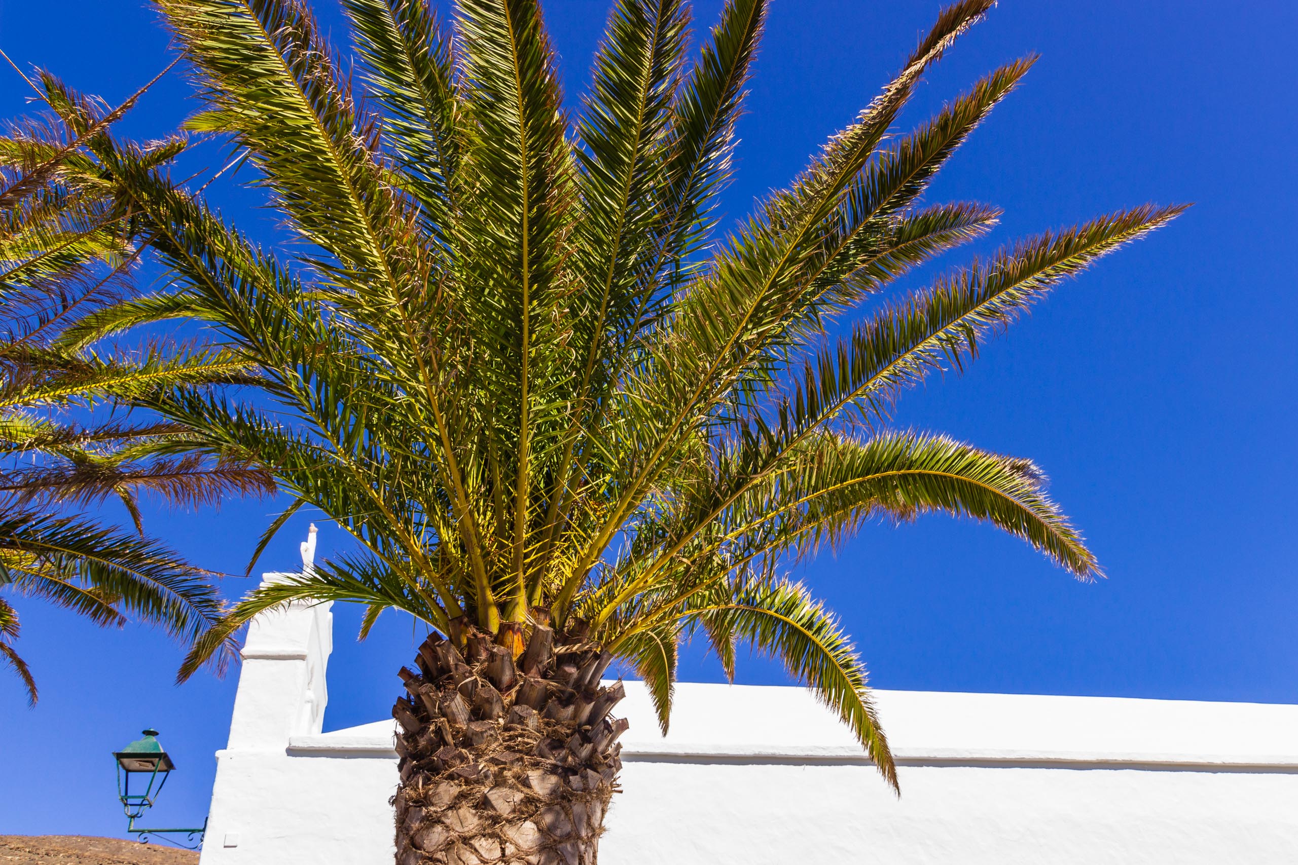 2019 08 Lanzarote Femés 013