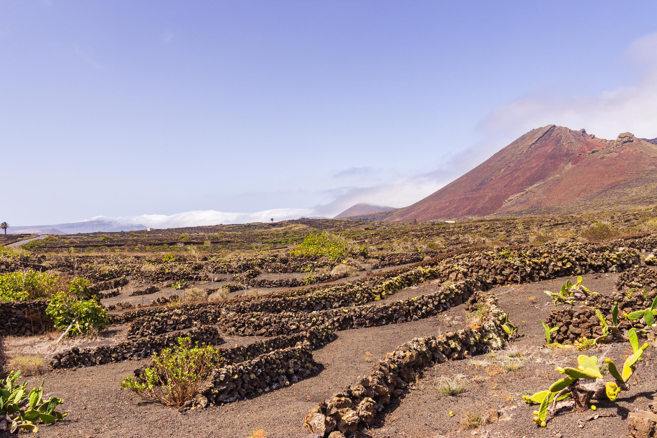 2016 09 Lanzarote ElCortijo 007