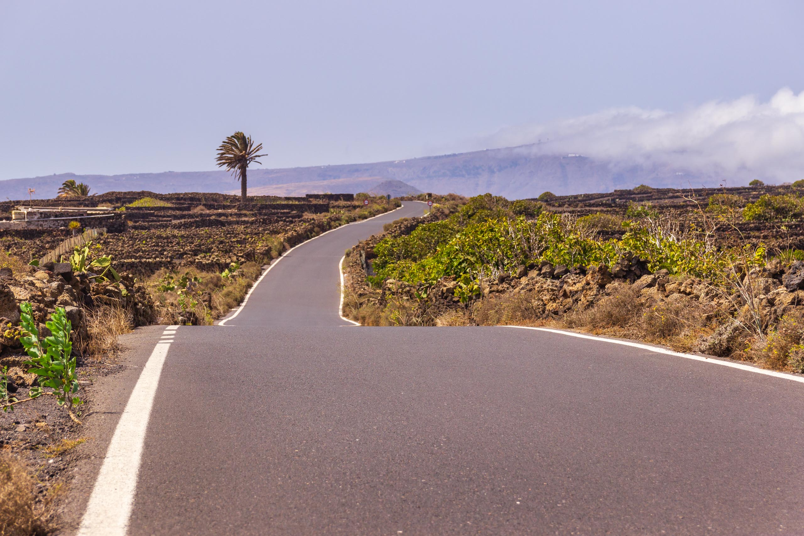 2016 09 Lanzarote ElCortijo 008