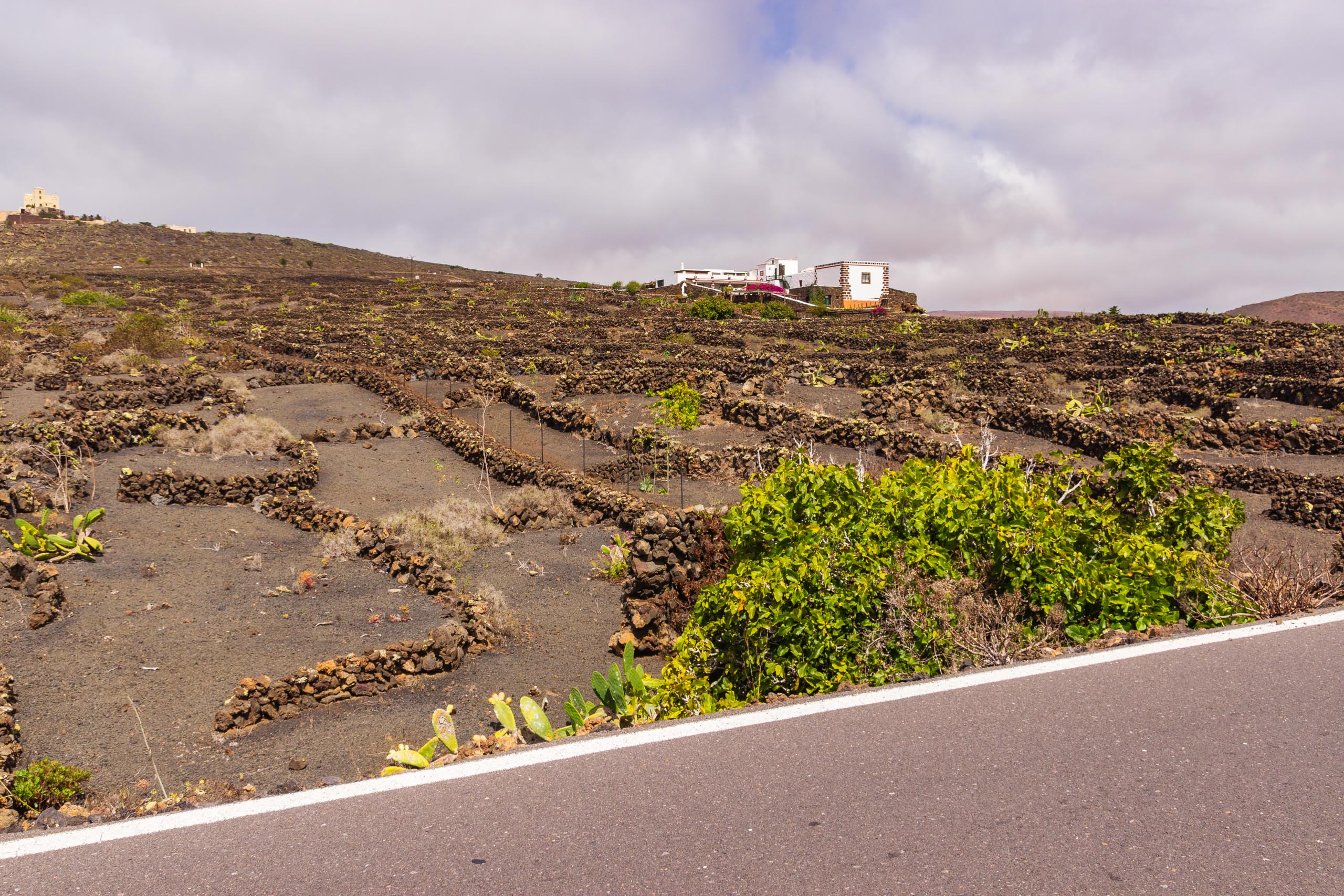 2016 09 Lanzarote ElCortijo 009