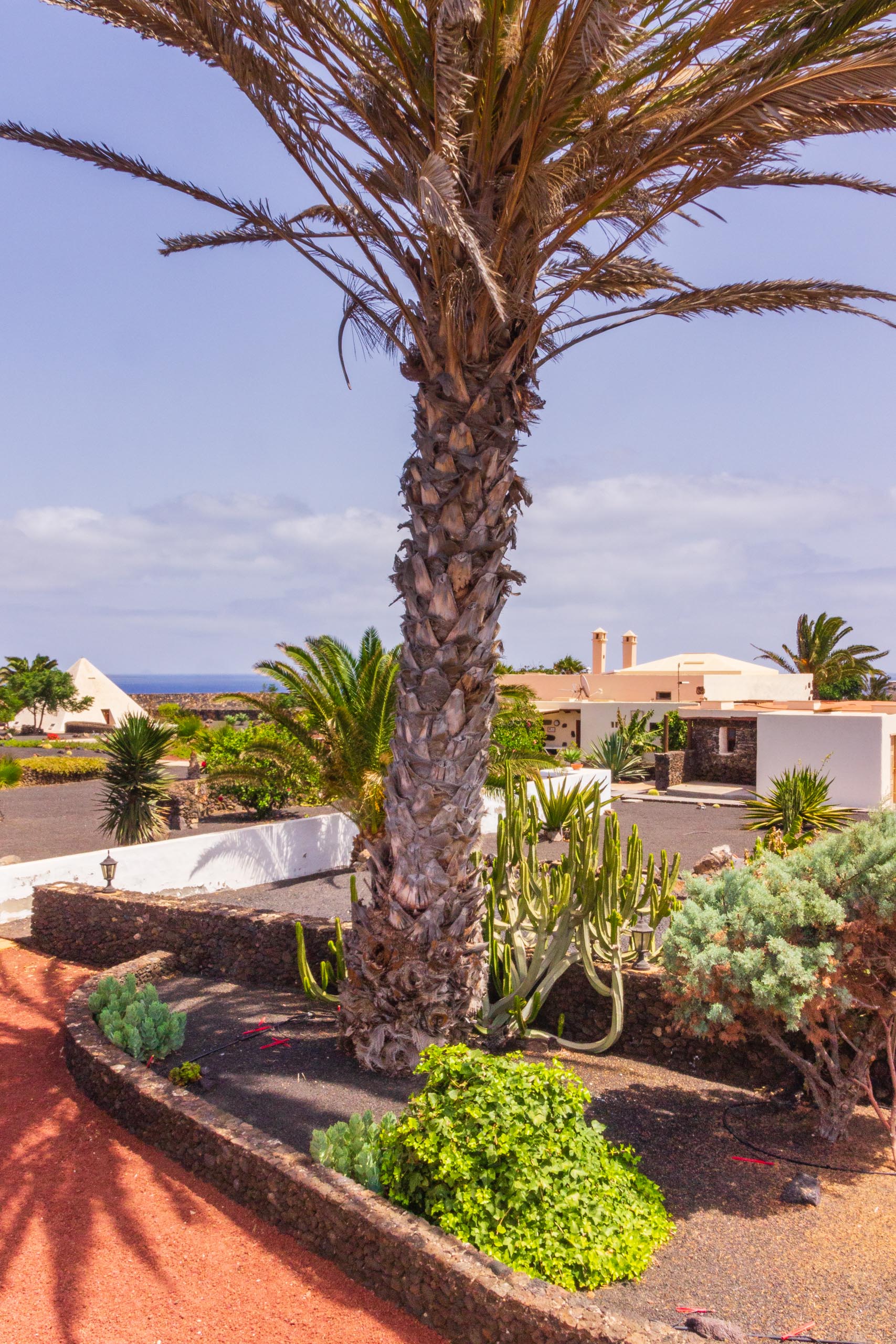 2016 09 Lanzarote GardenNeighbourhood 1 007