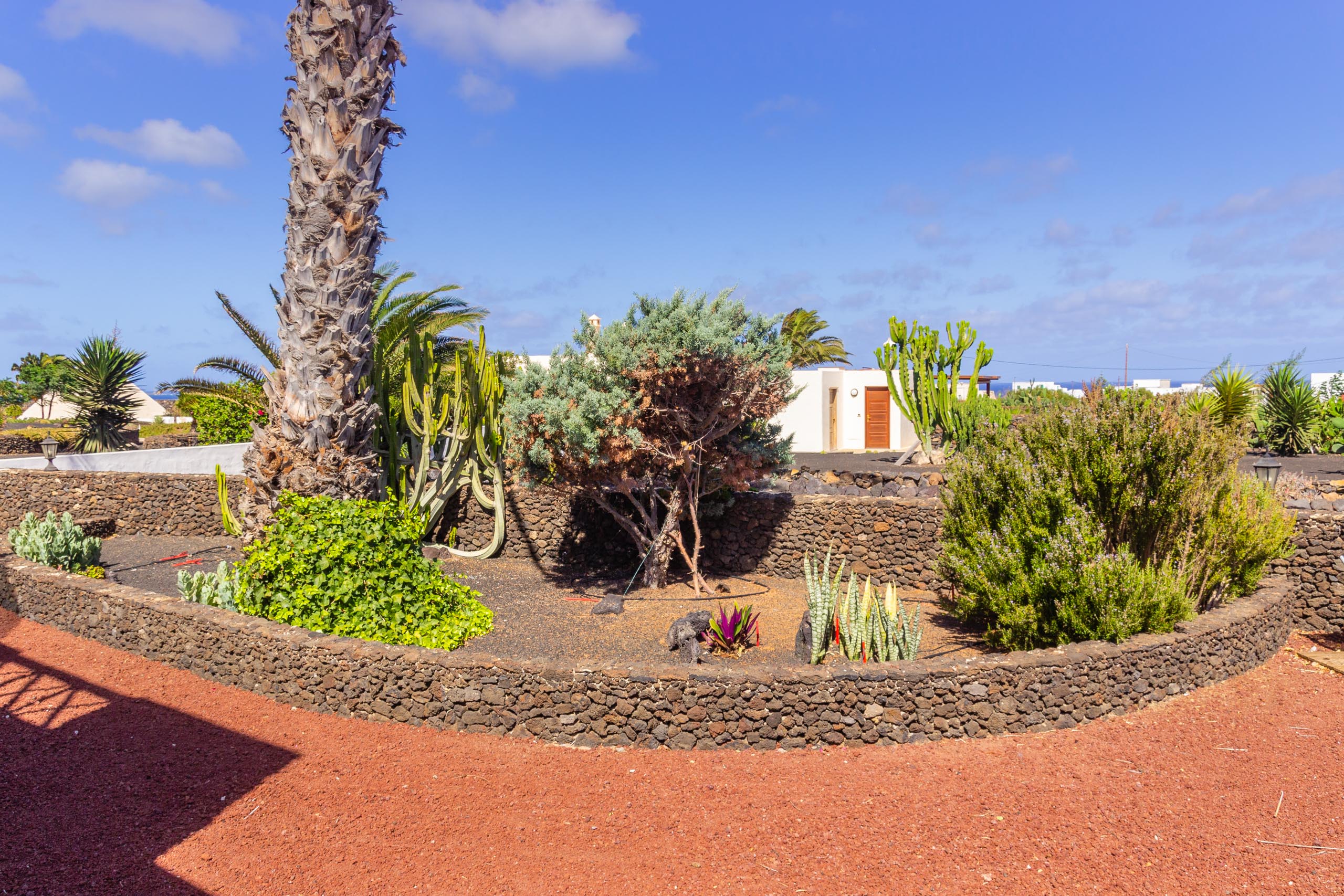 2016 09 Lanzarote GardenNeighbourhood 1 009