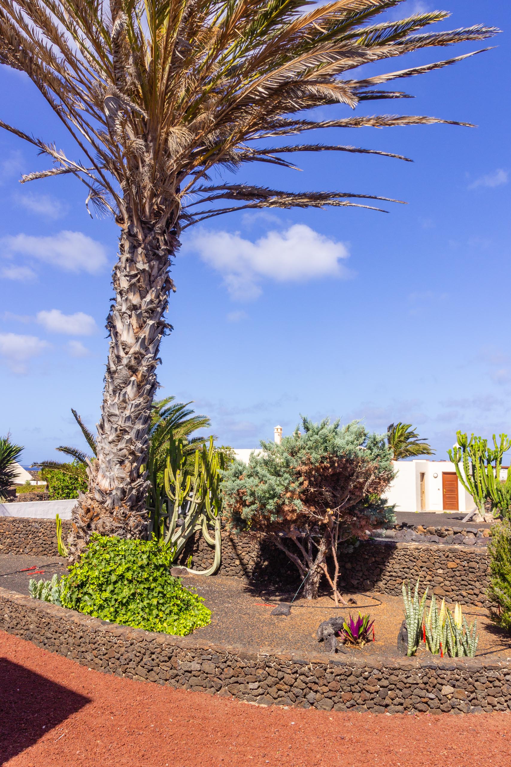 2016 09 Lanzarote GardenNeighbourhood 1 010