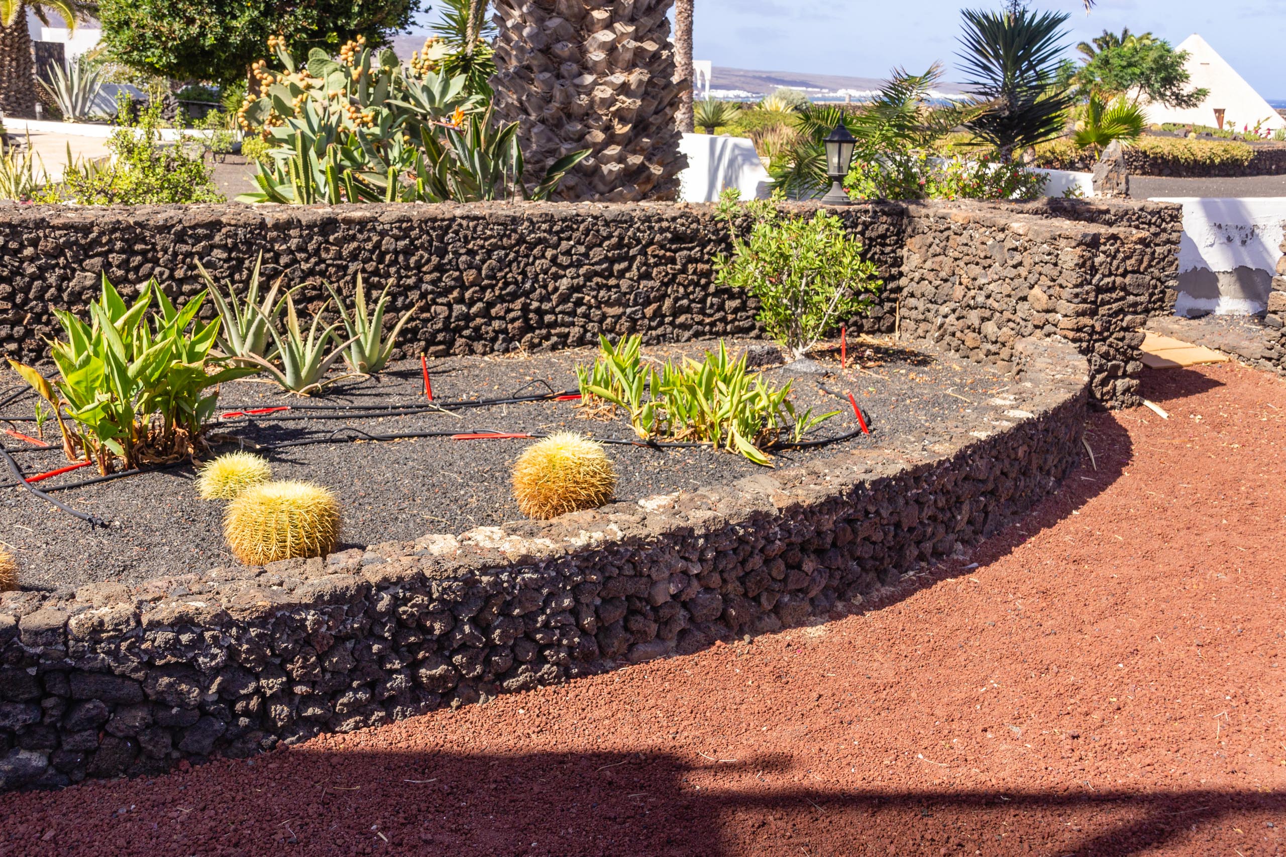2016 09 Lanzarote GardenNeighbourhood 1 013