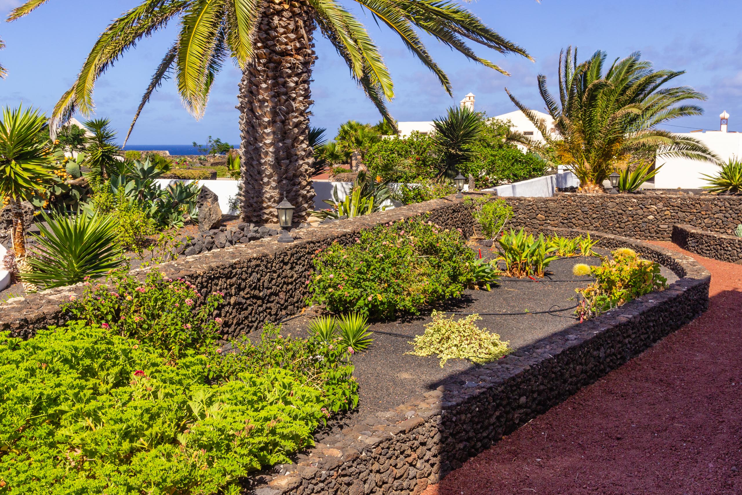 2016 09 Lanzarote GardenNeighbourhood 1 014