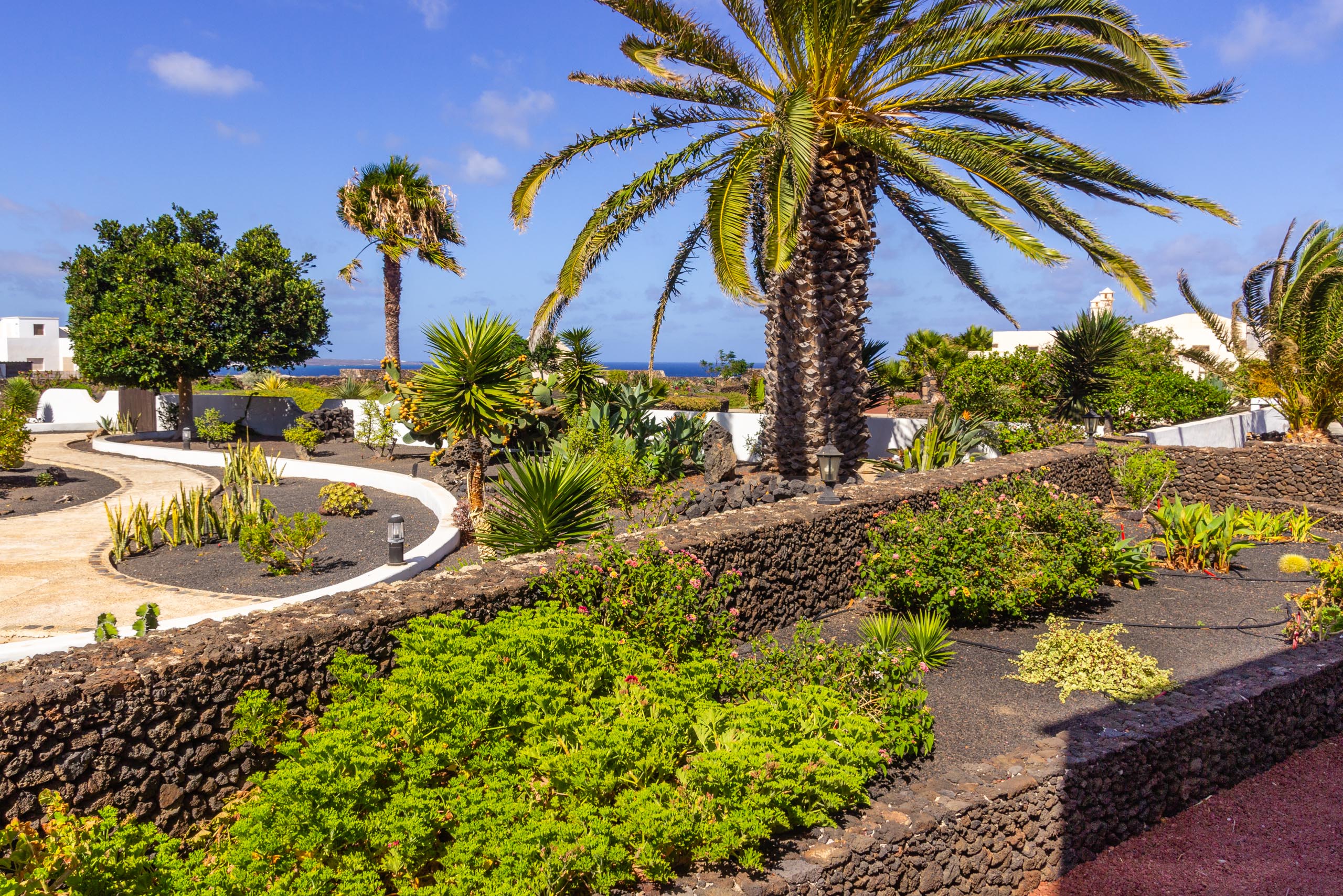 2016 09 Lanzarote GardenNeighbourhood 1 015
