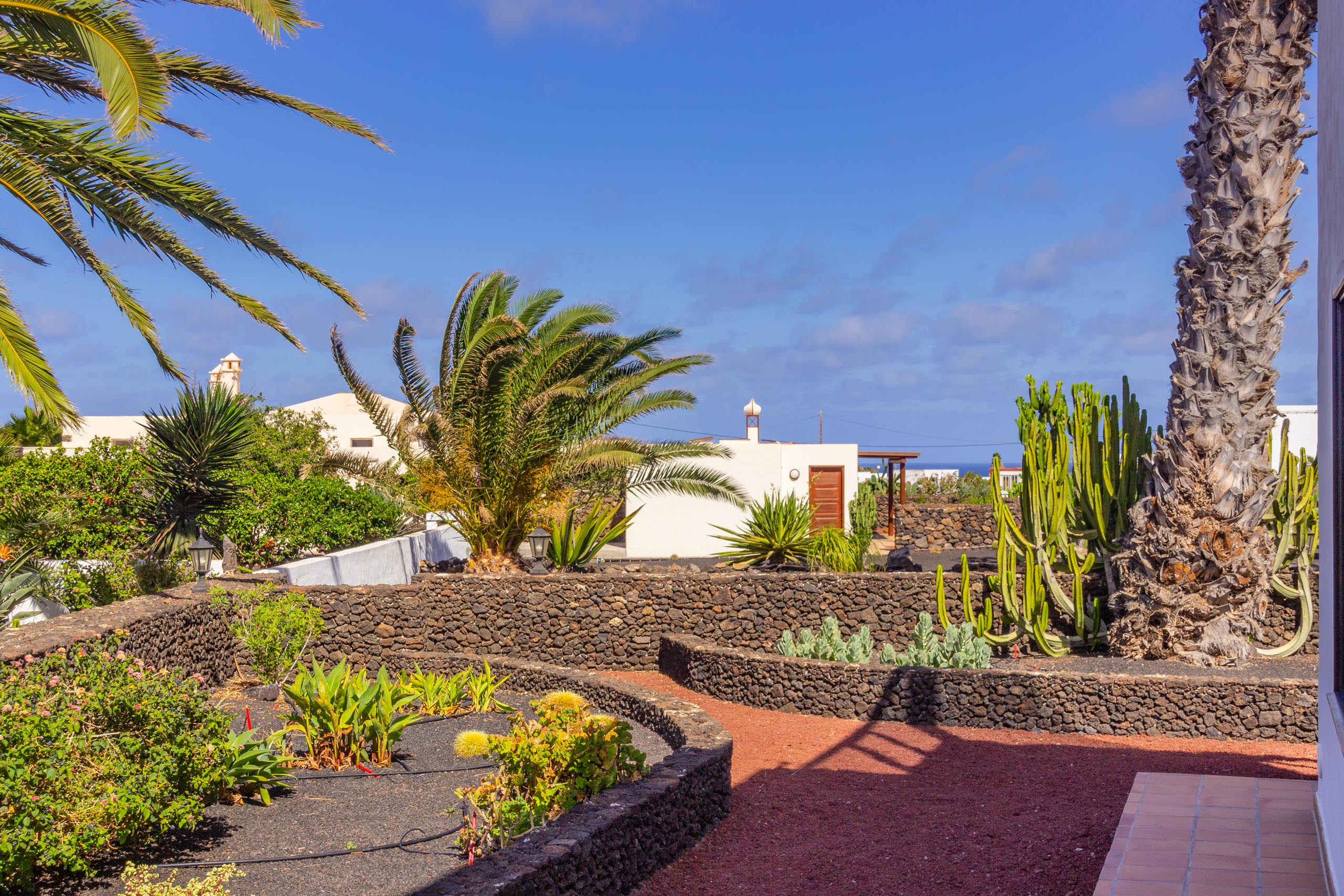 2016 09 Lanzarote GardenNeighbourhood 1 016