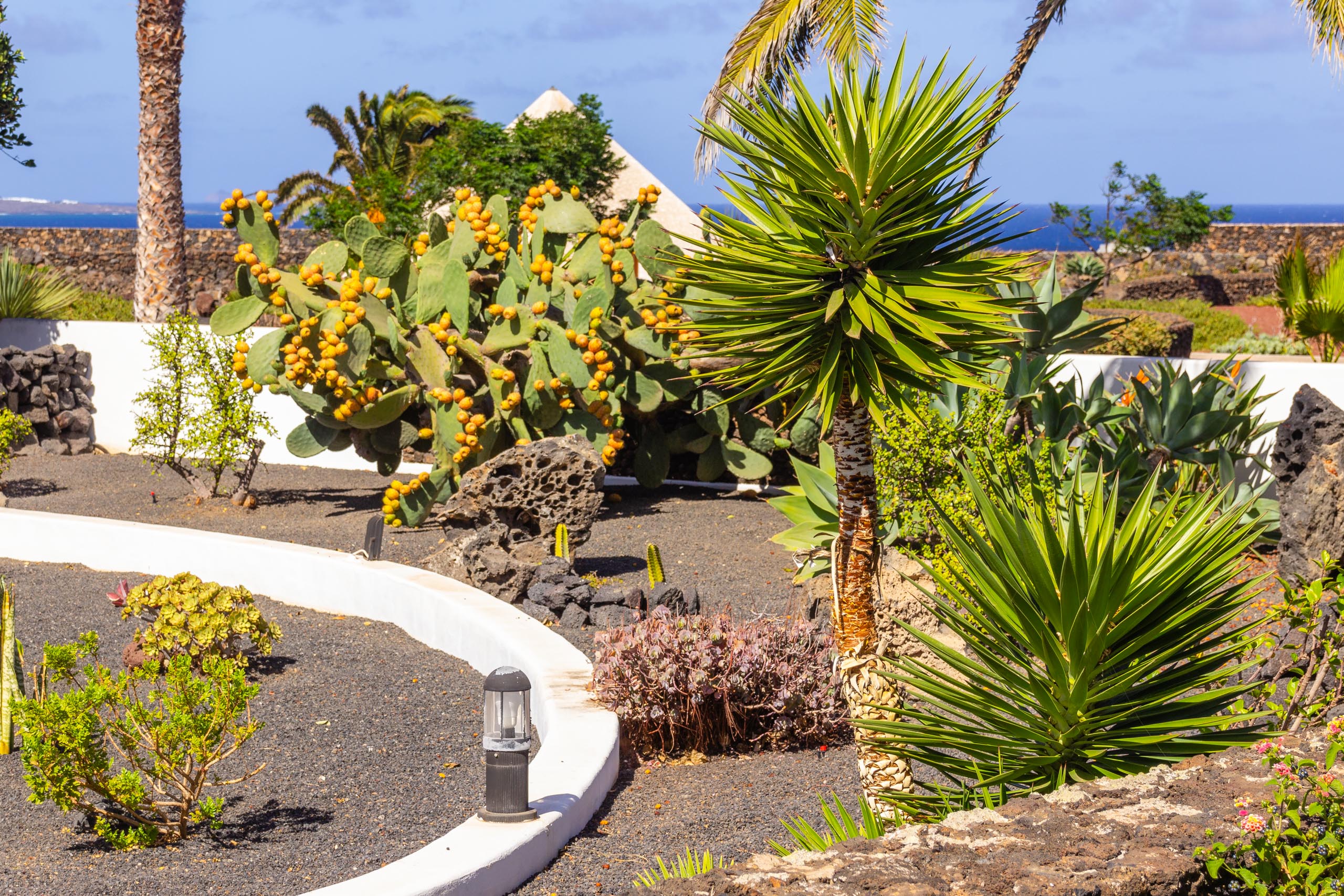 2016 09 Lanzarote GardenNeighbourhood 1 017