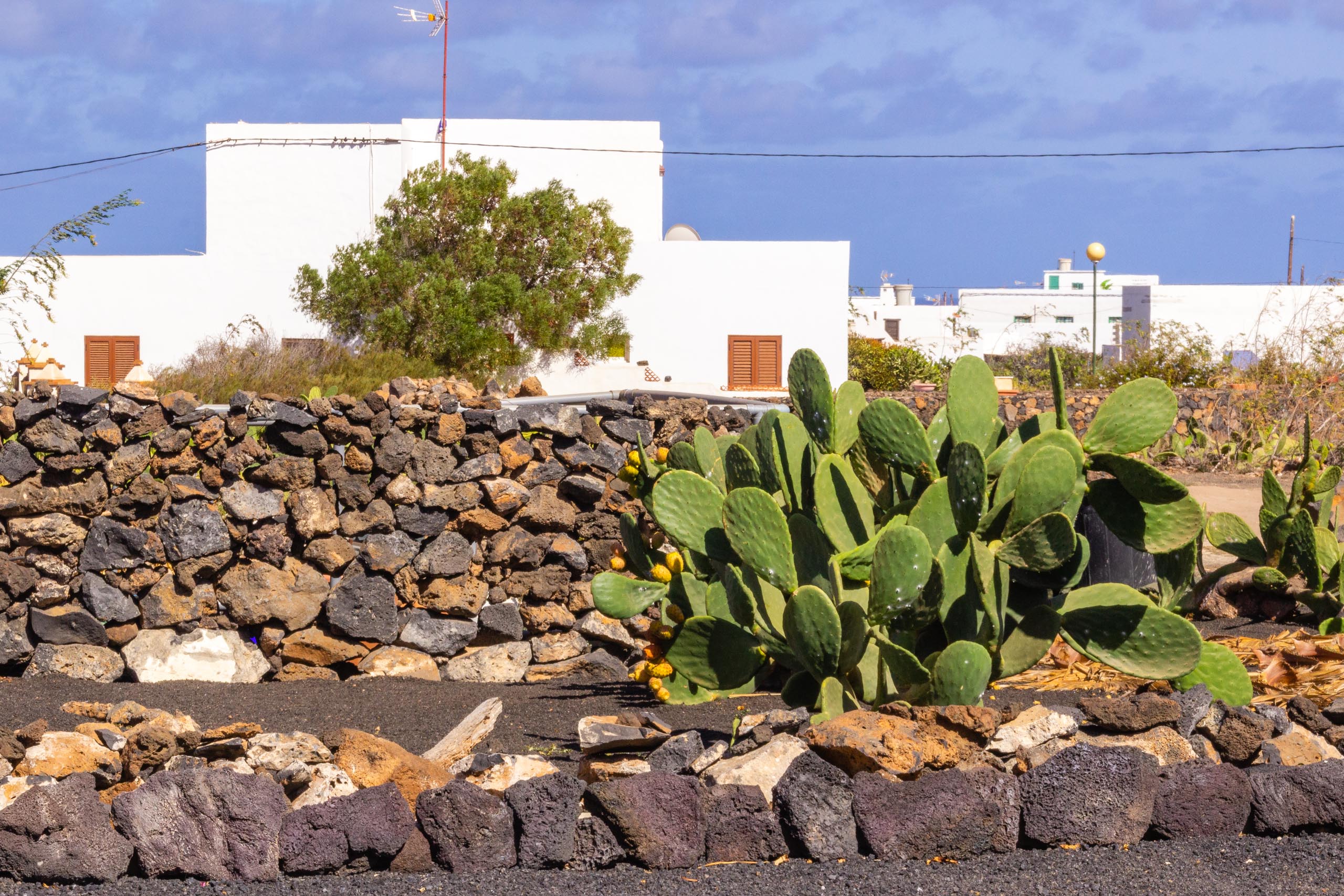 2016 09 Lanzarote GardenNeighbourhood 1 023