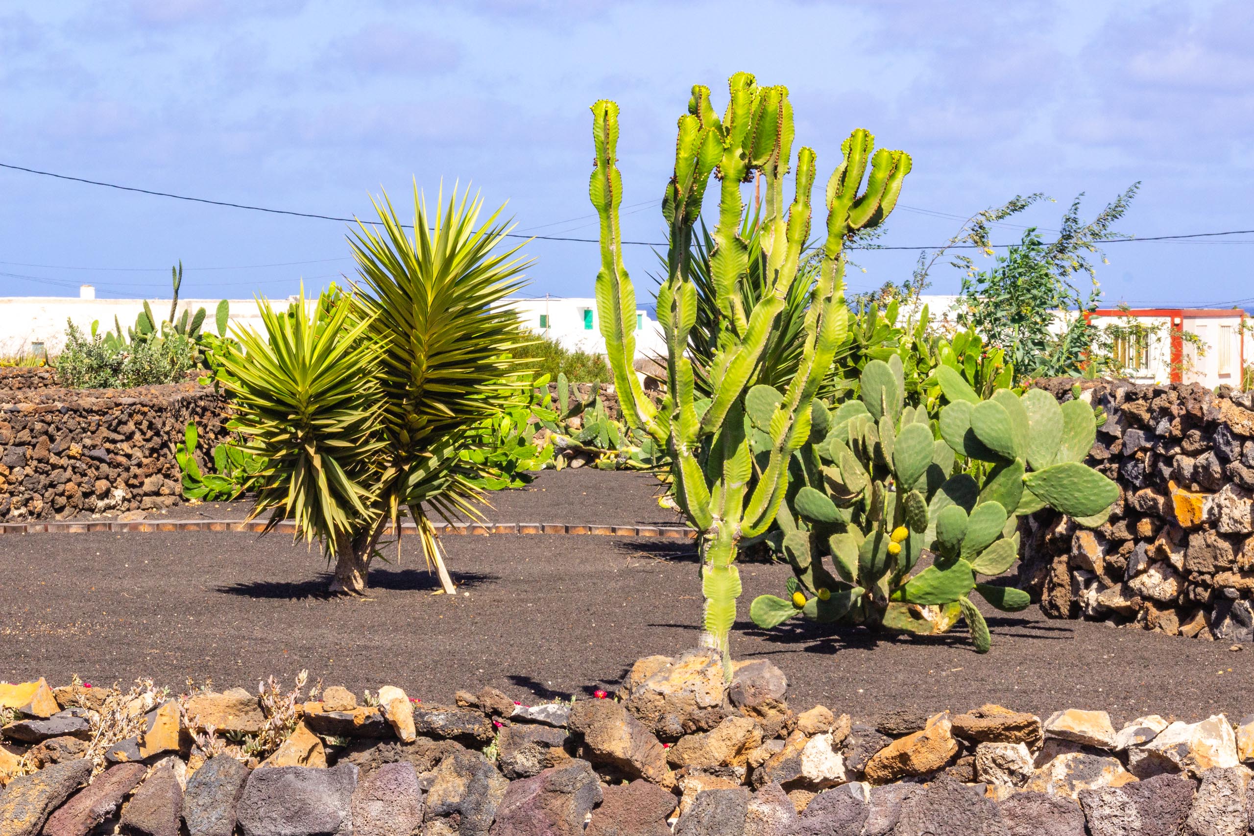 2016 09 Lanzarote GardenNeighbourhood 1 024