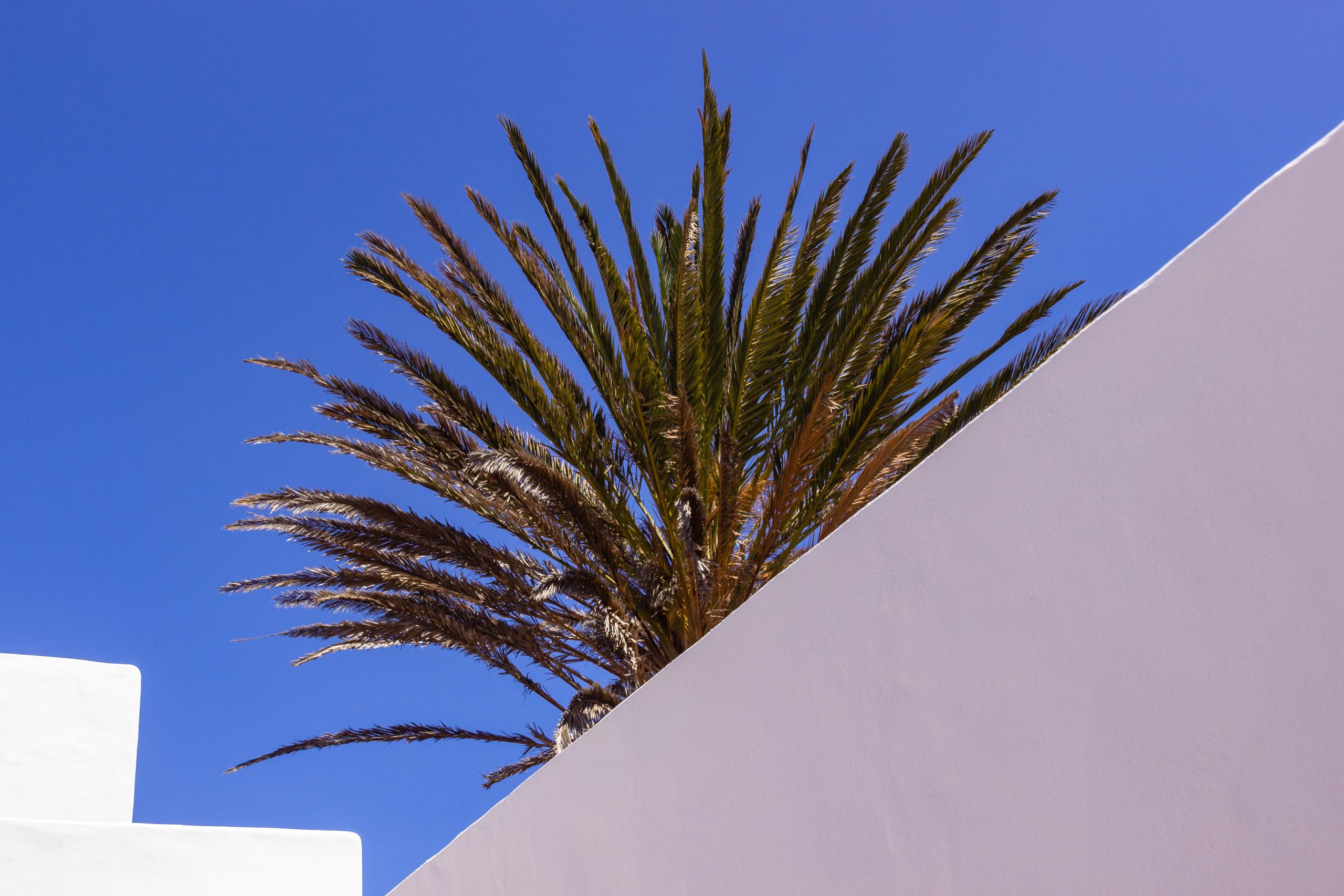 2016 09 Lanzarote GardenNeighbourhood 2 011