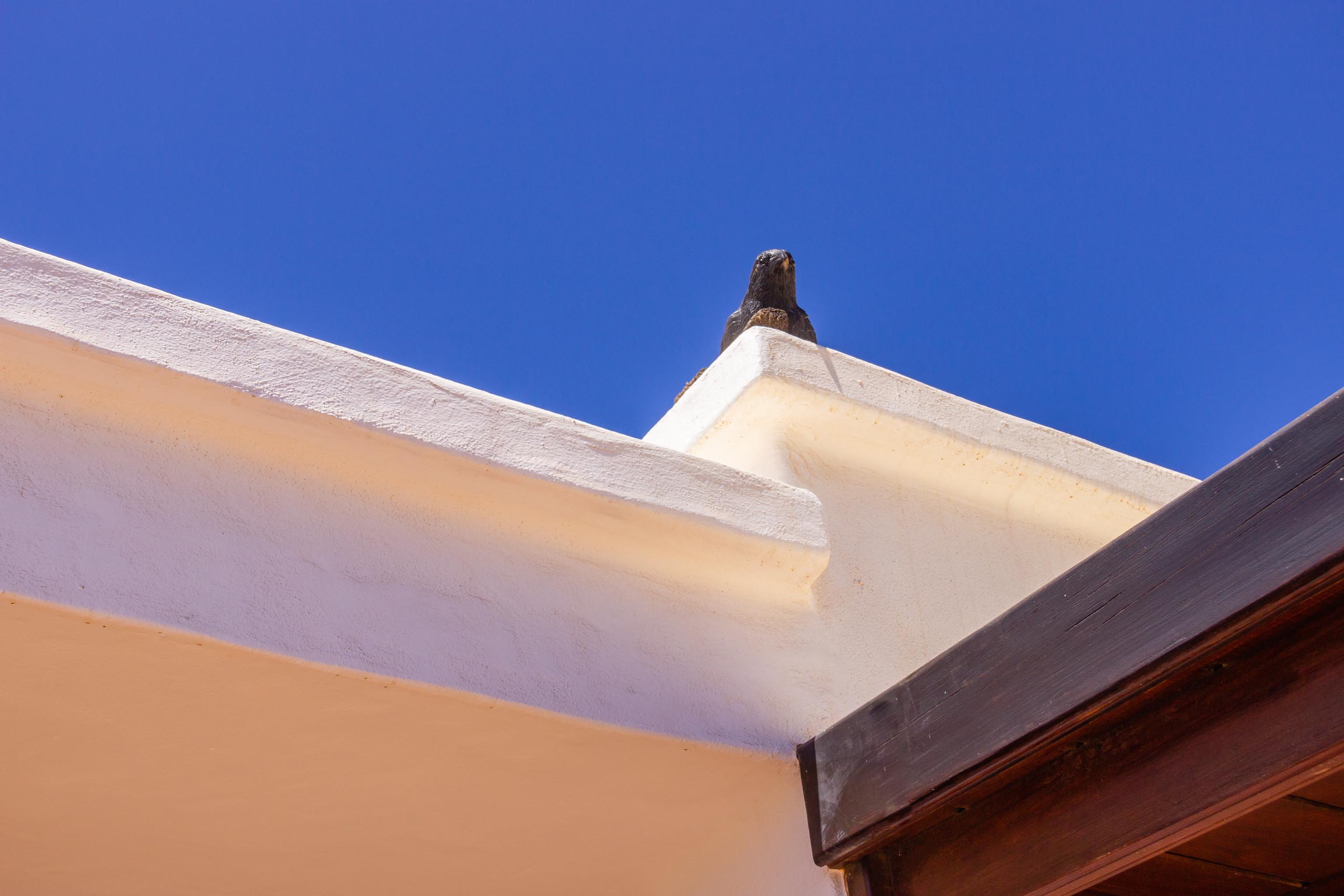 2016 09 Lanzarote GardenNeighbourhood 2 012