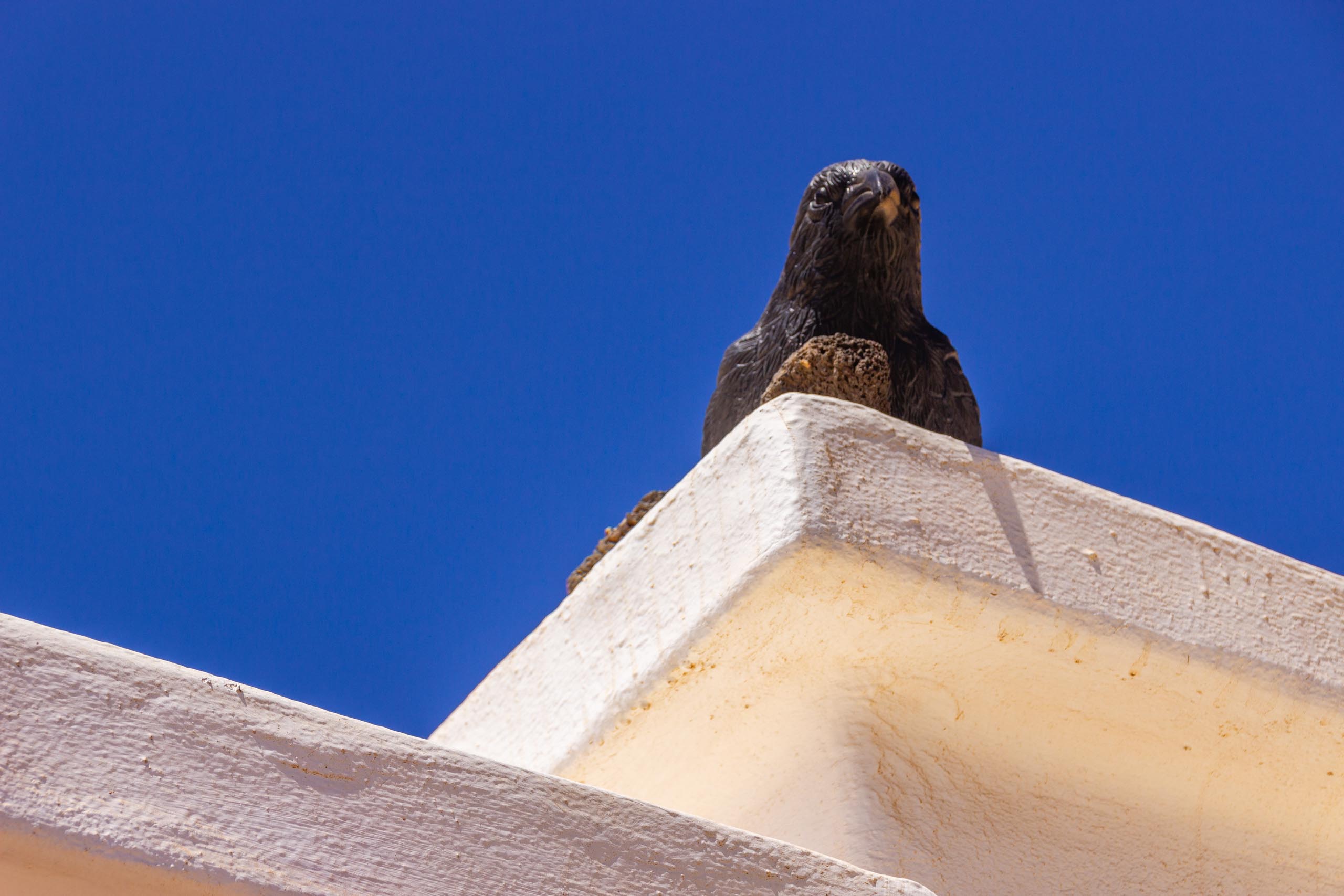 2016 09 Lanzarote GardenNeighbourhood 2 013