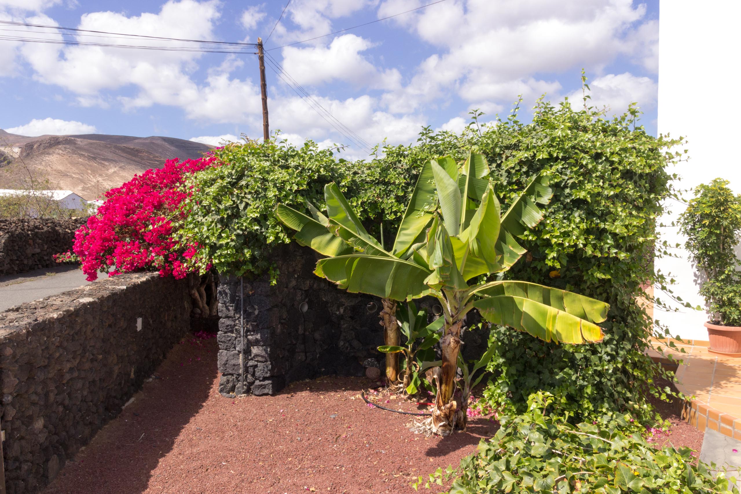 2016 09 Lanzarote GardenNeighbourhood 2 016