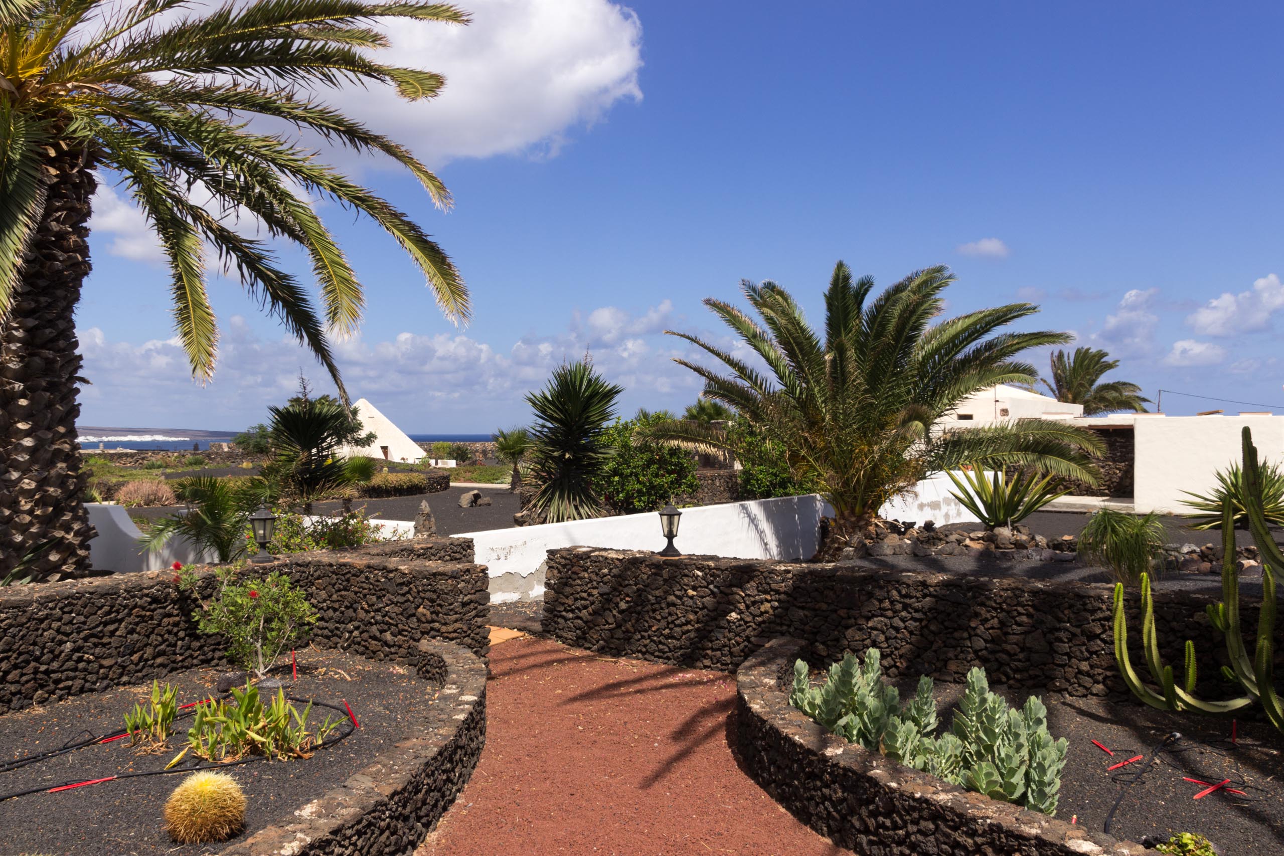 2016 09 Lanzarote GardenNeighbourhood 2 021