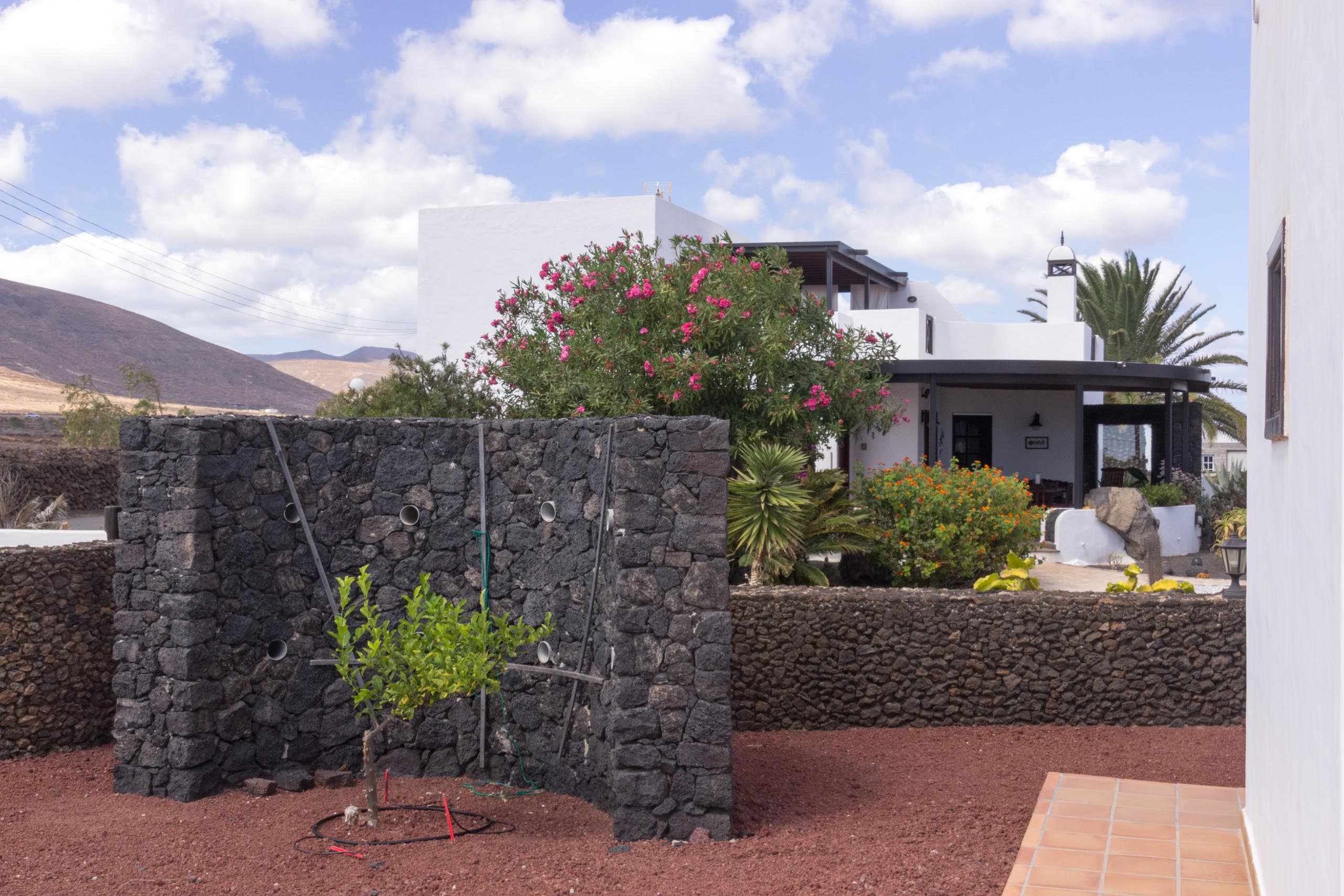 2016 09 Lanzarote GardenNeighbourhood 2 025