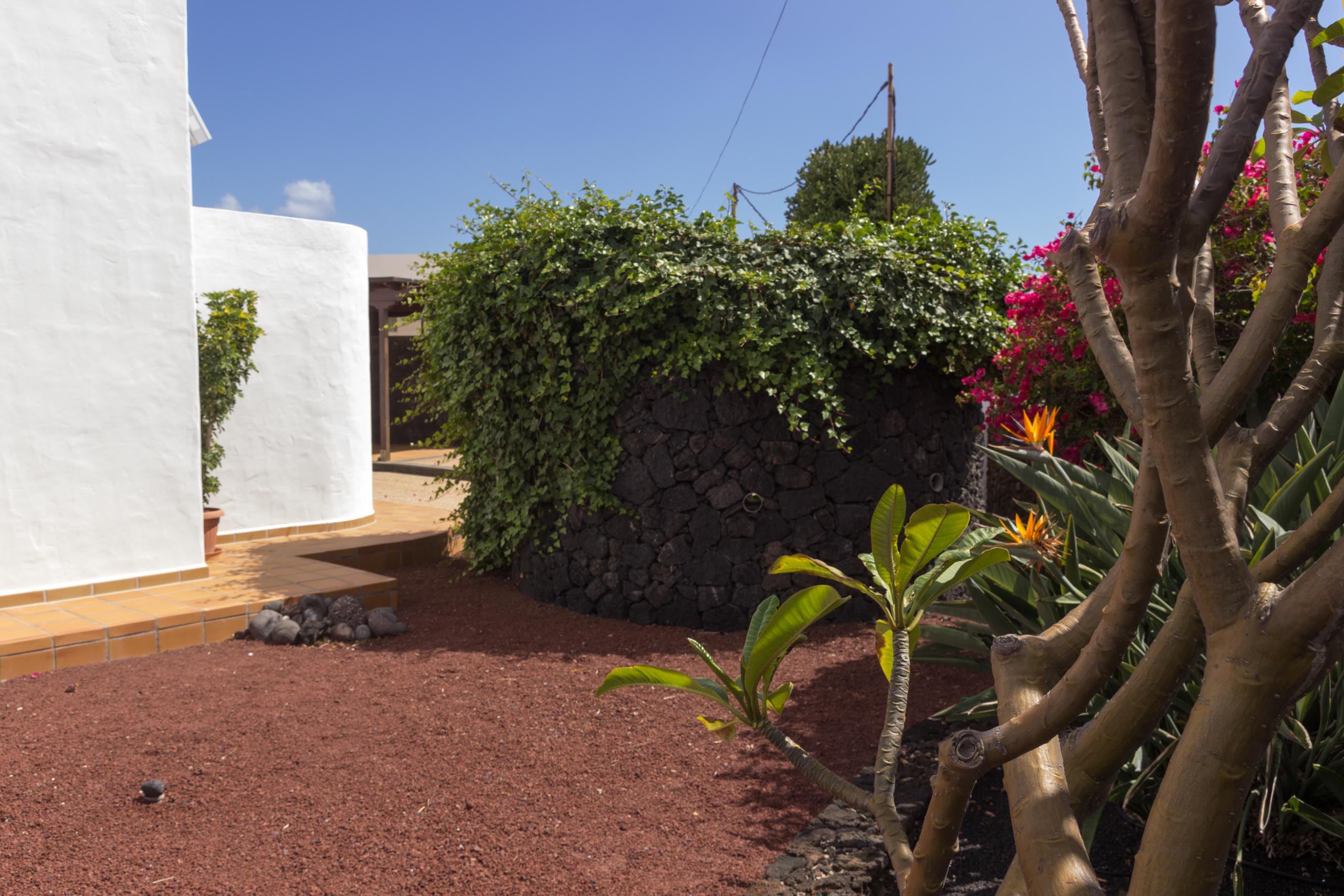 2016 09 Lanzarote GardenNeighbourhood 2 028