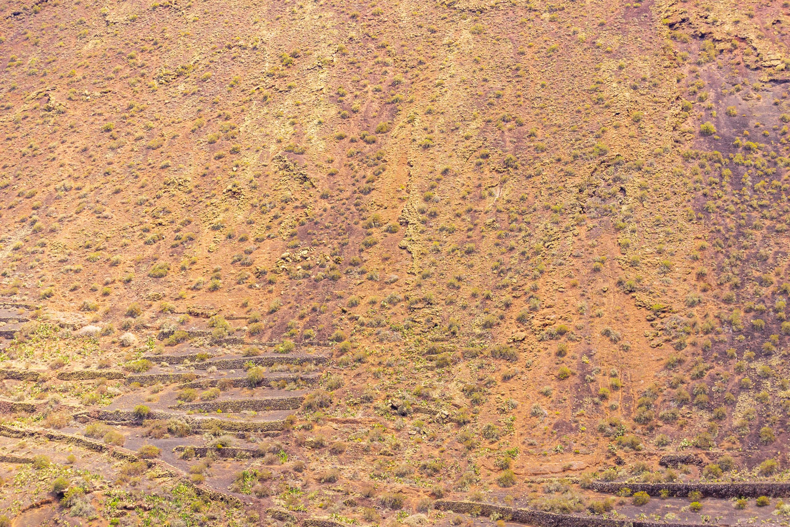 2016 09 Lanzarote Guinate 010