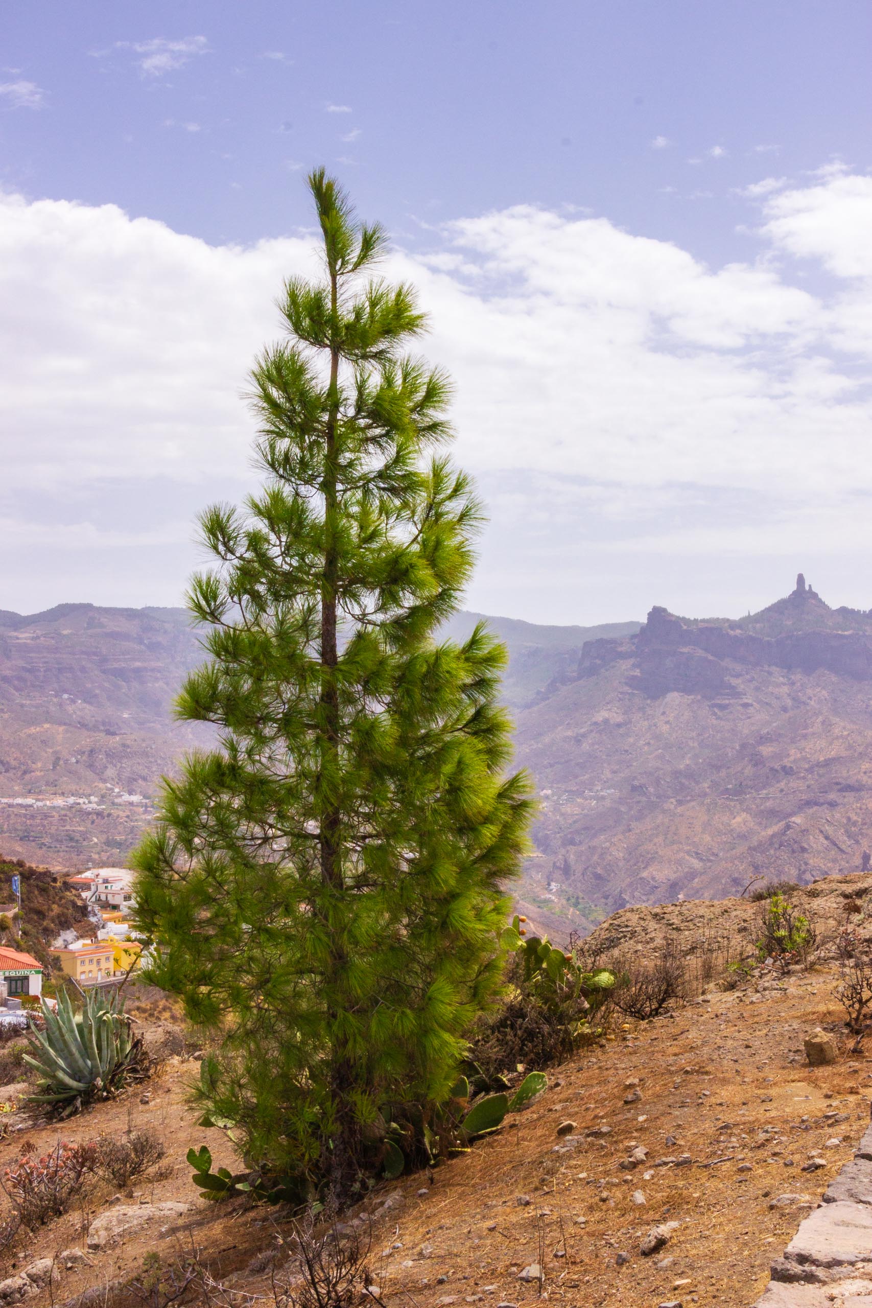 2017 09 GranCanaria Artenara 020