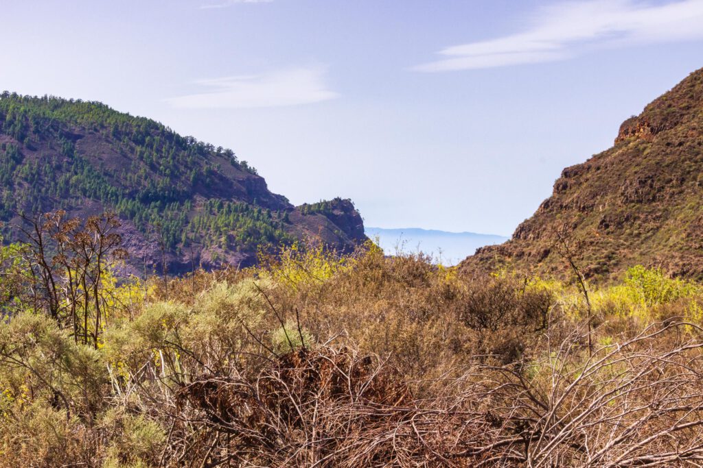 2017 09 GranCanaria El Hornillo 001