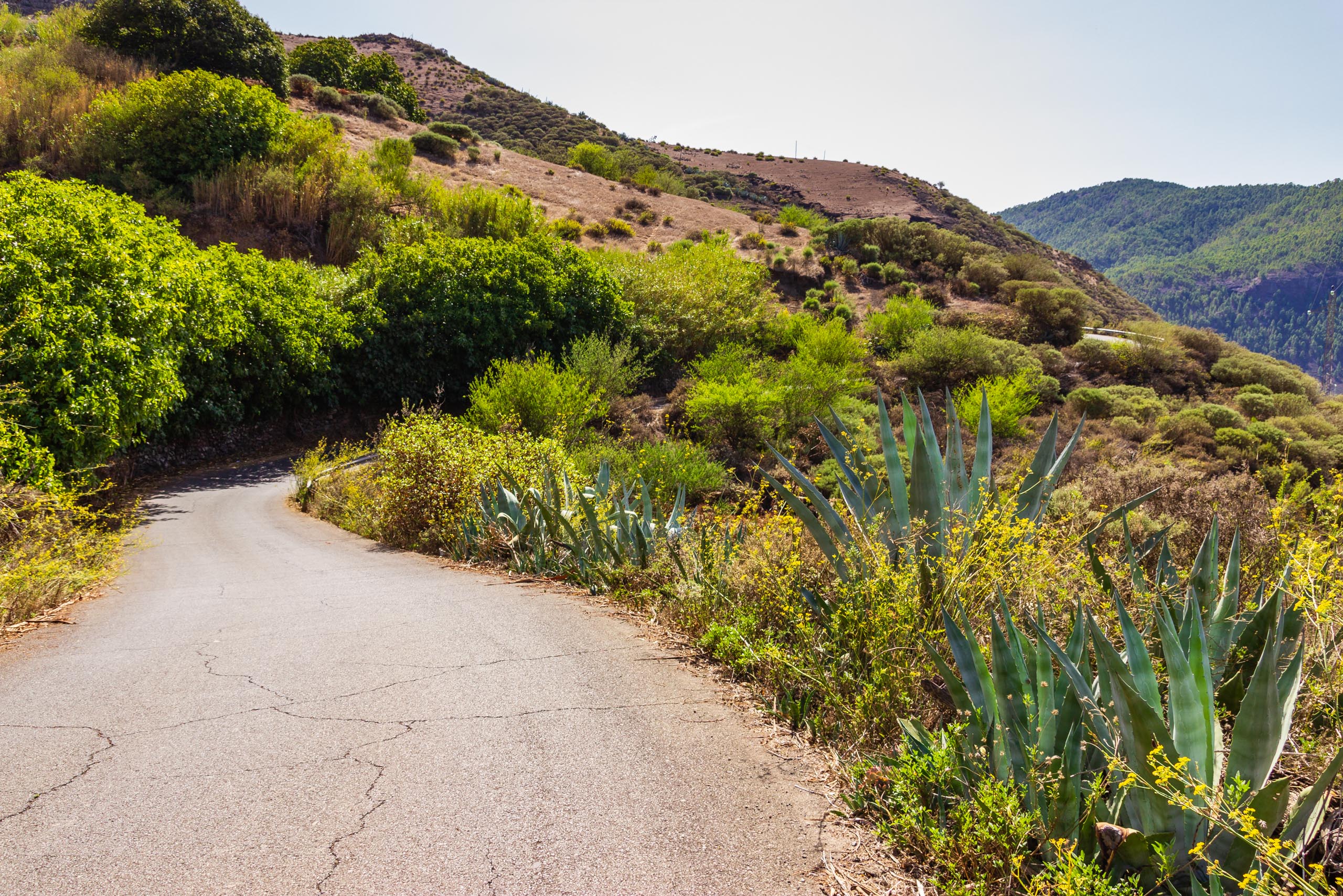 2017 09 GranCanaria El Hornillo 005